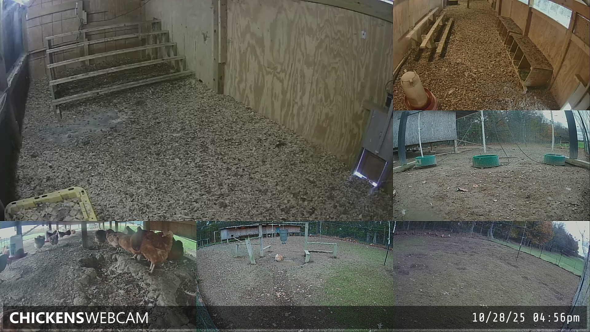 Twitch Stream Preview