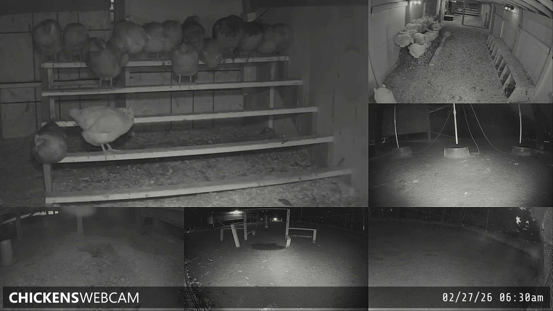 Twitch Stream Preview