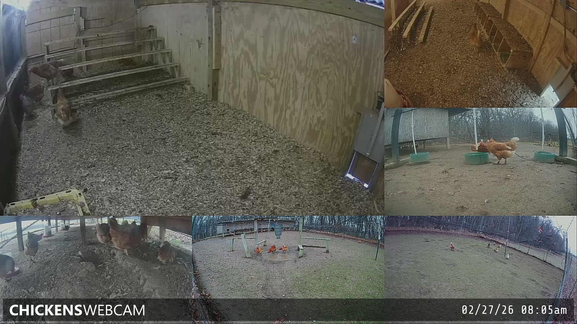 Twitch Stream Preview