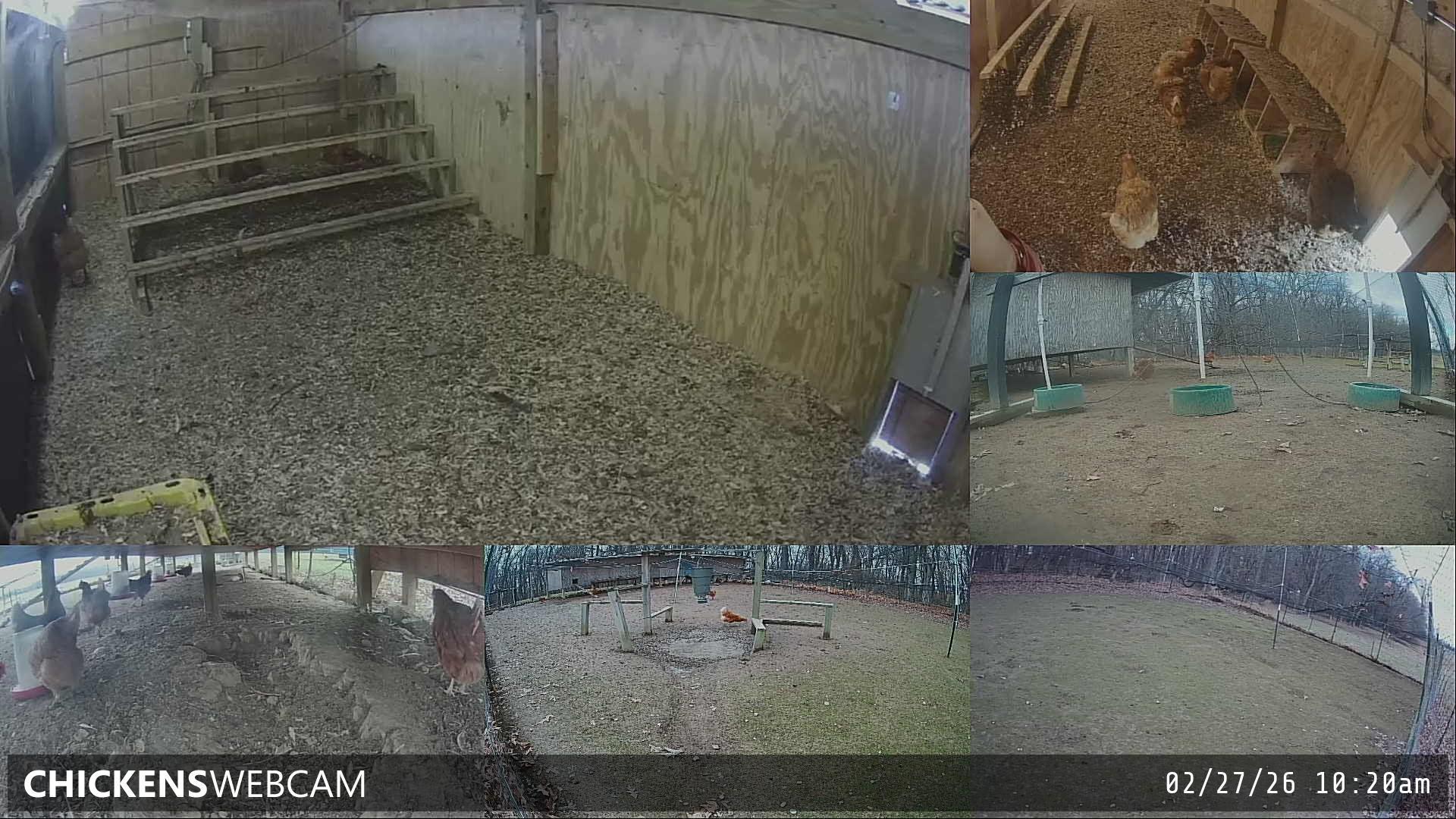 Twitch Stream Preview