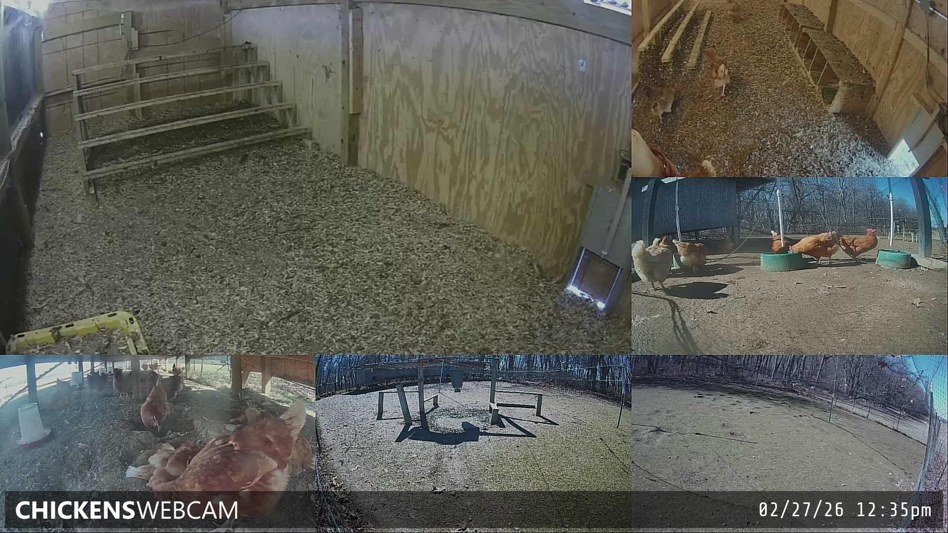 Twitch Stream Preview