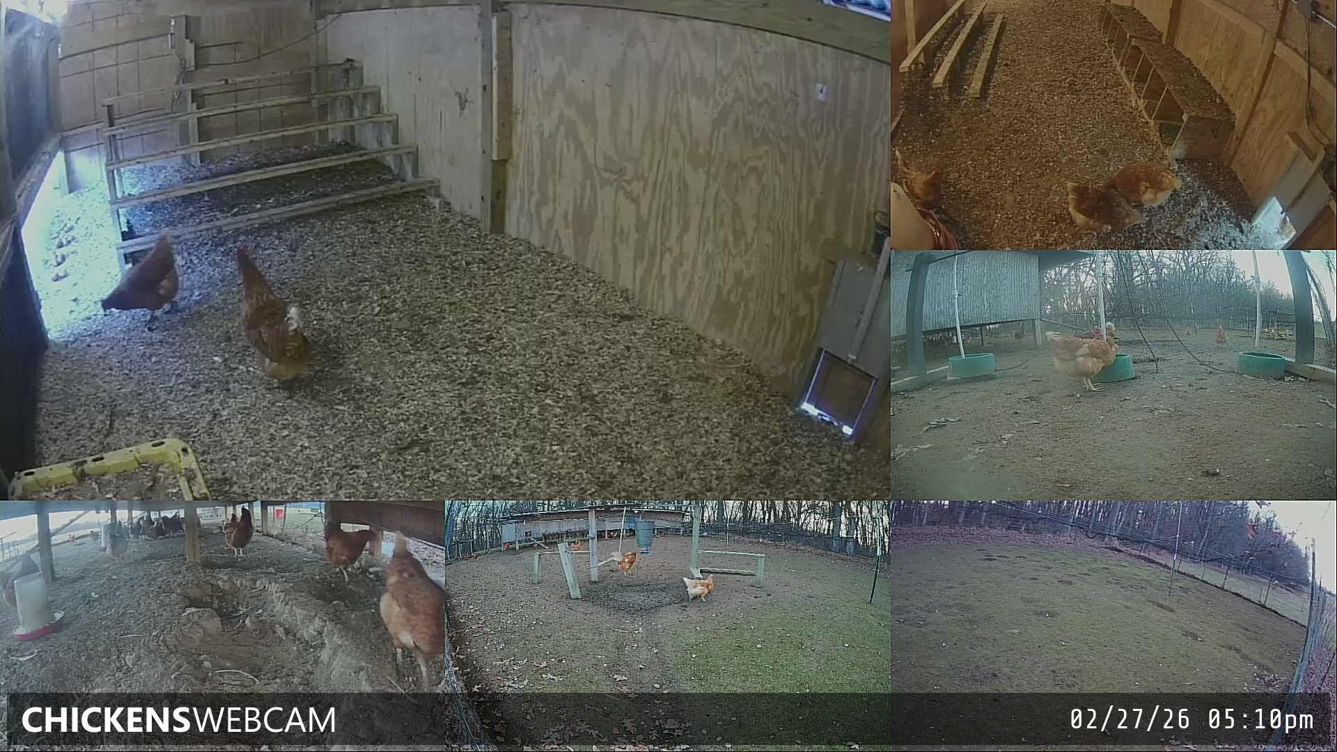 Twitch Stream Preview