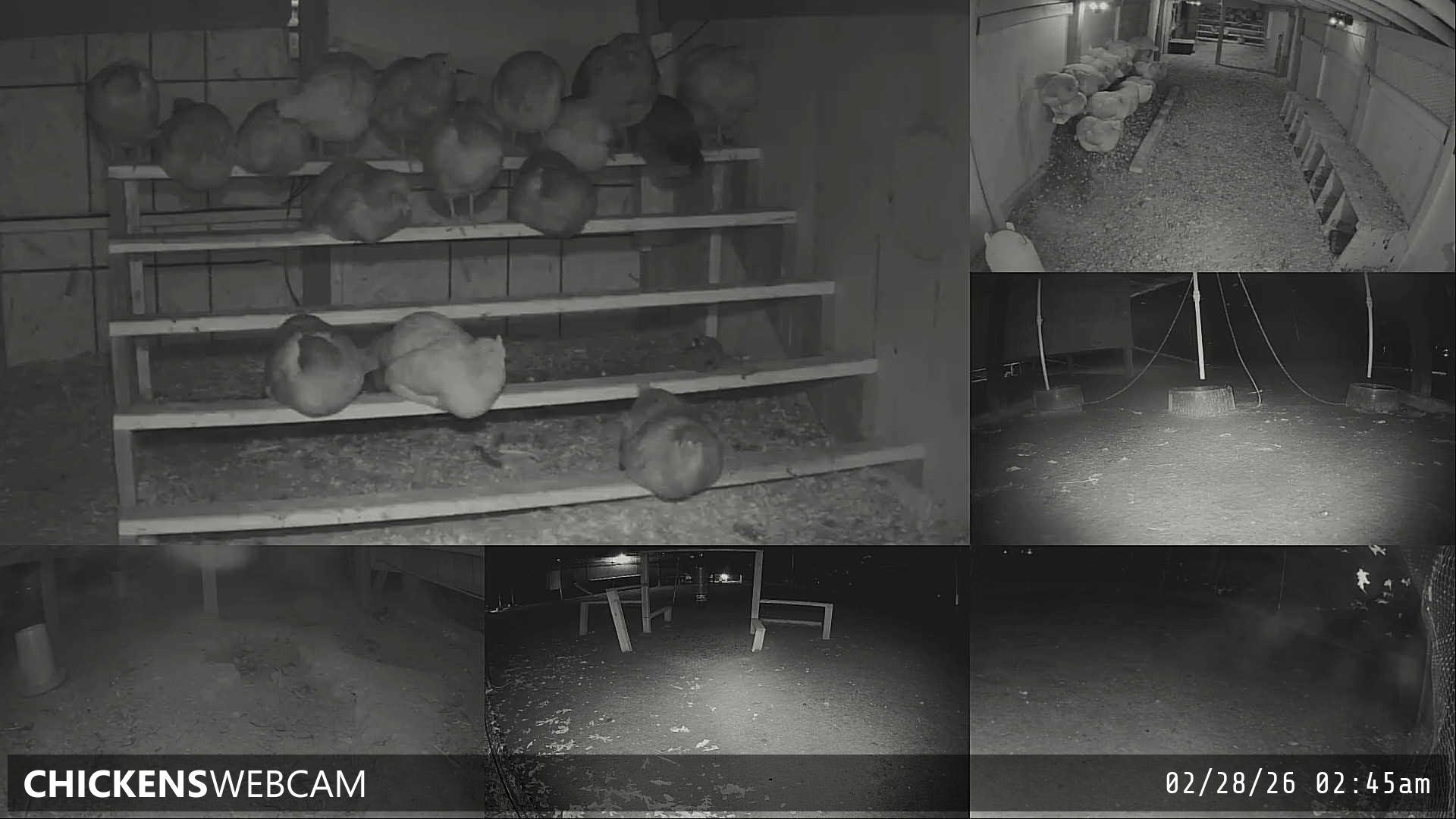 Twitch Stream Preview