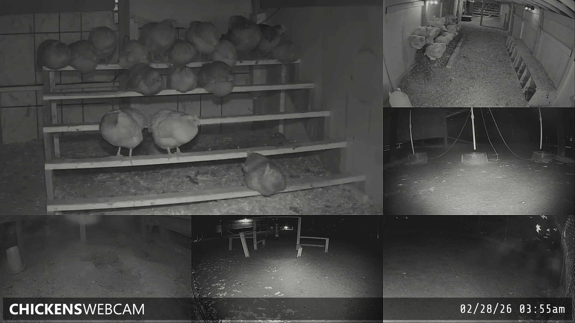 Twitch Stream Preview