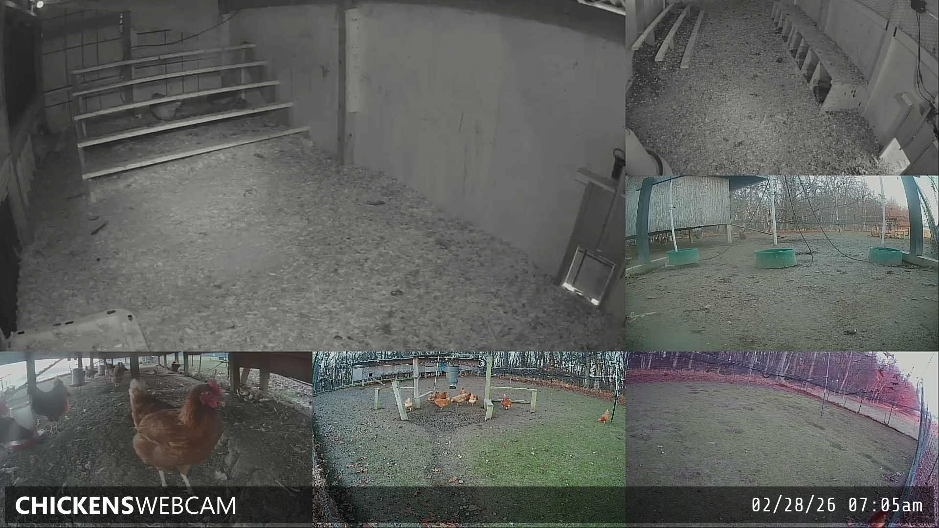 Twitch Stream Preview