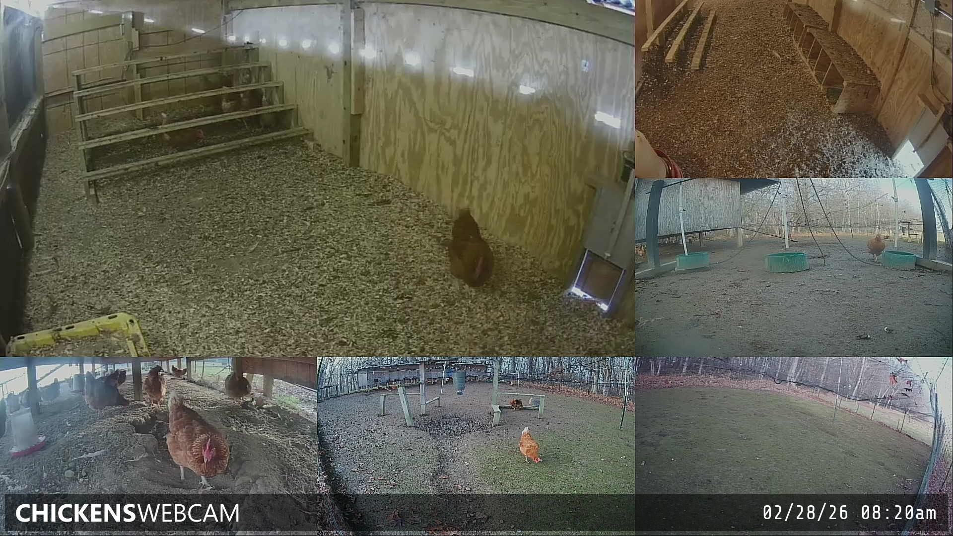 Twitch Stream Preview