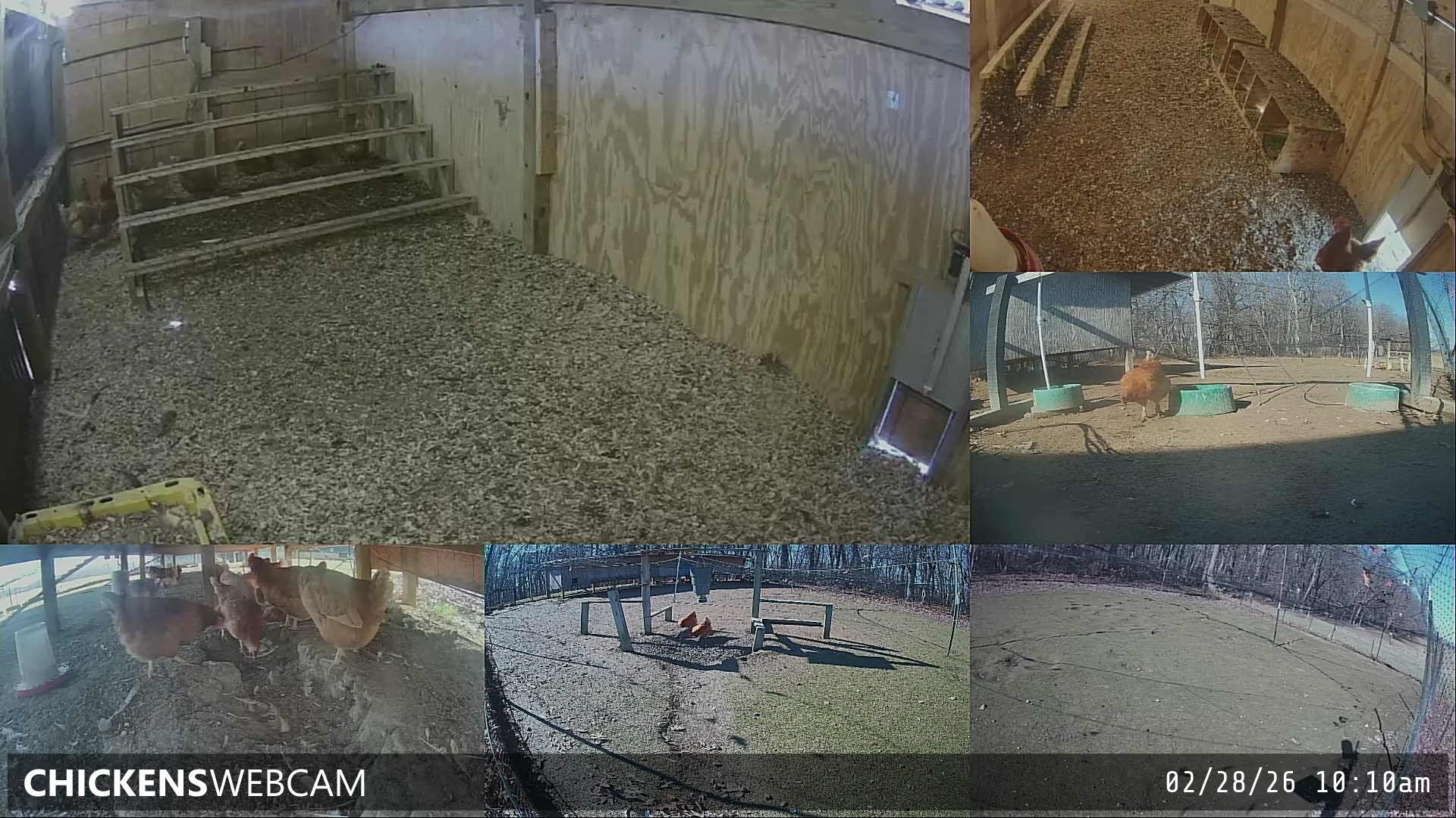 Twitch Stream Preview