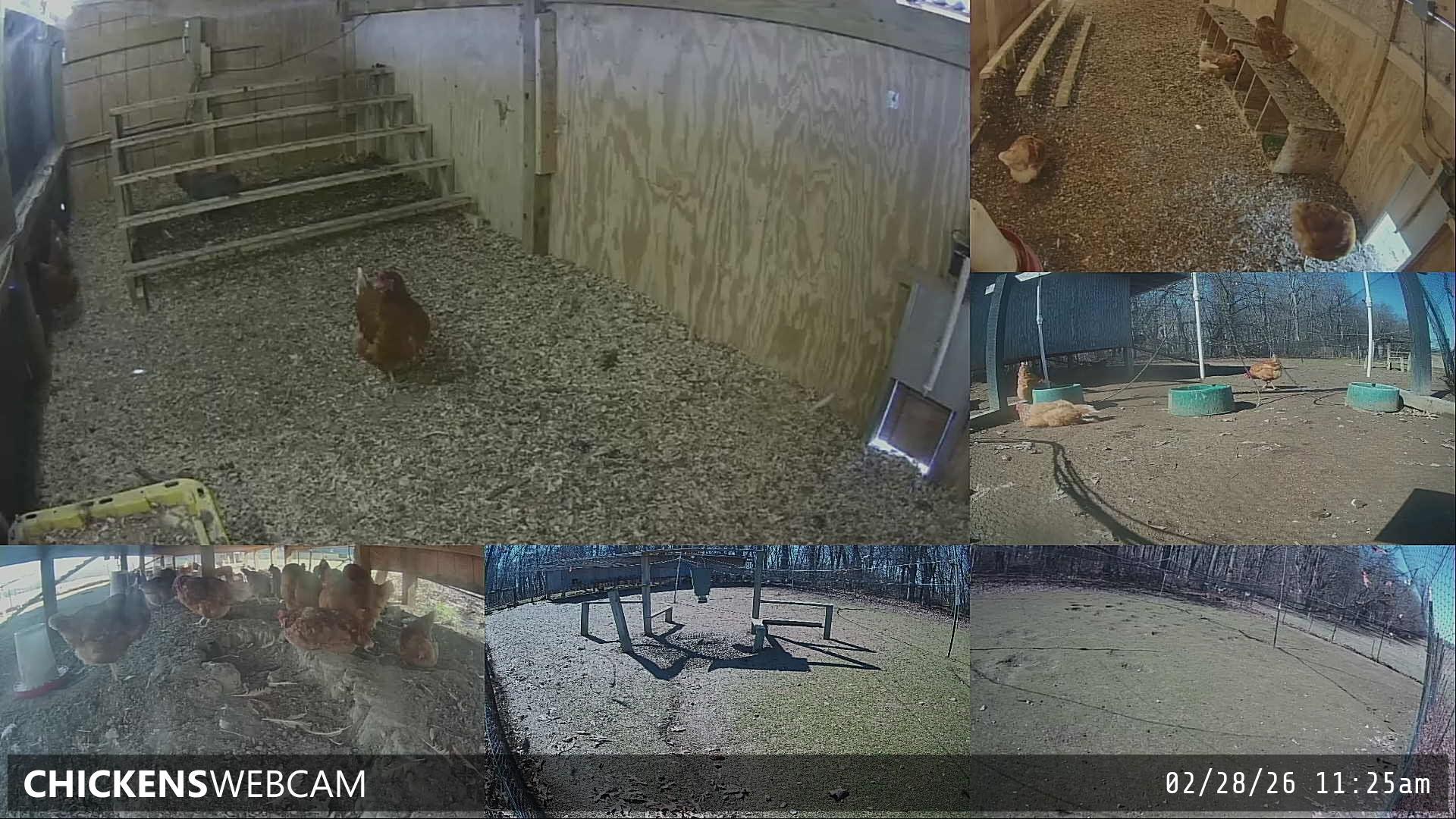 Twitch Stream Preview