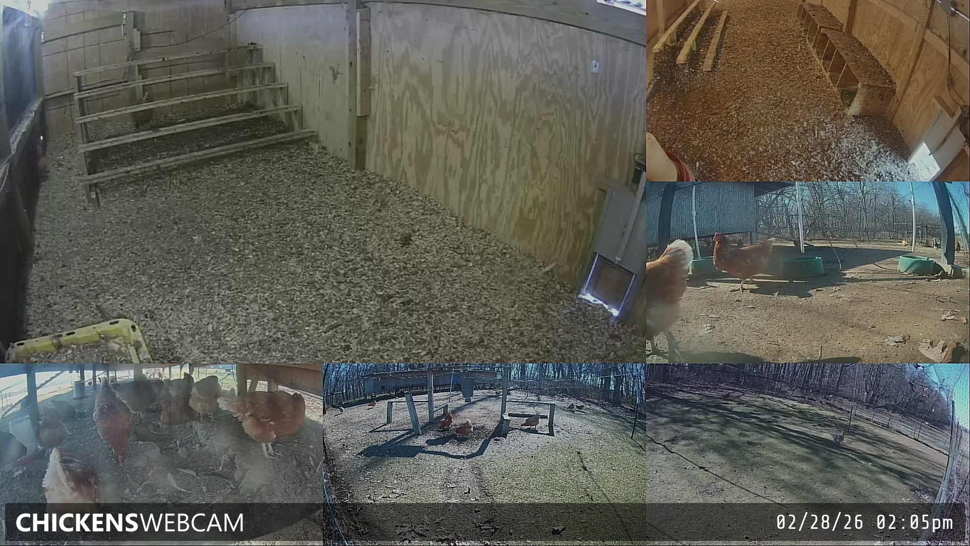 Twitch Stream Preview