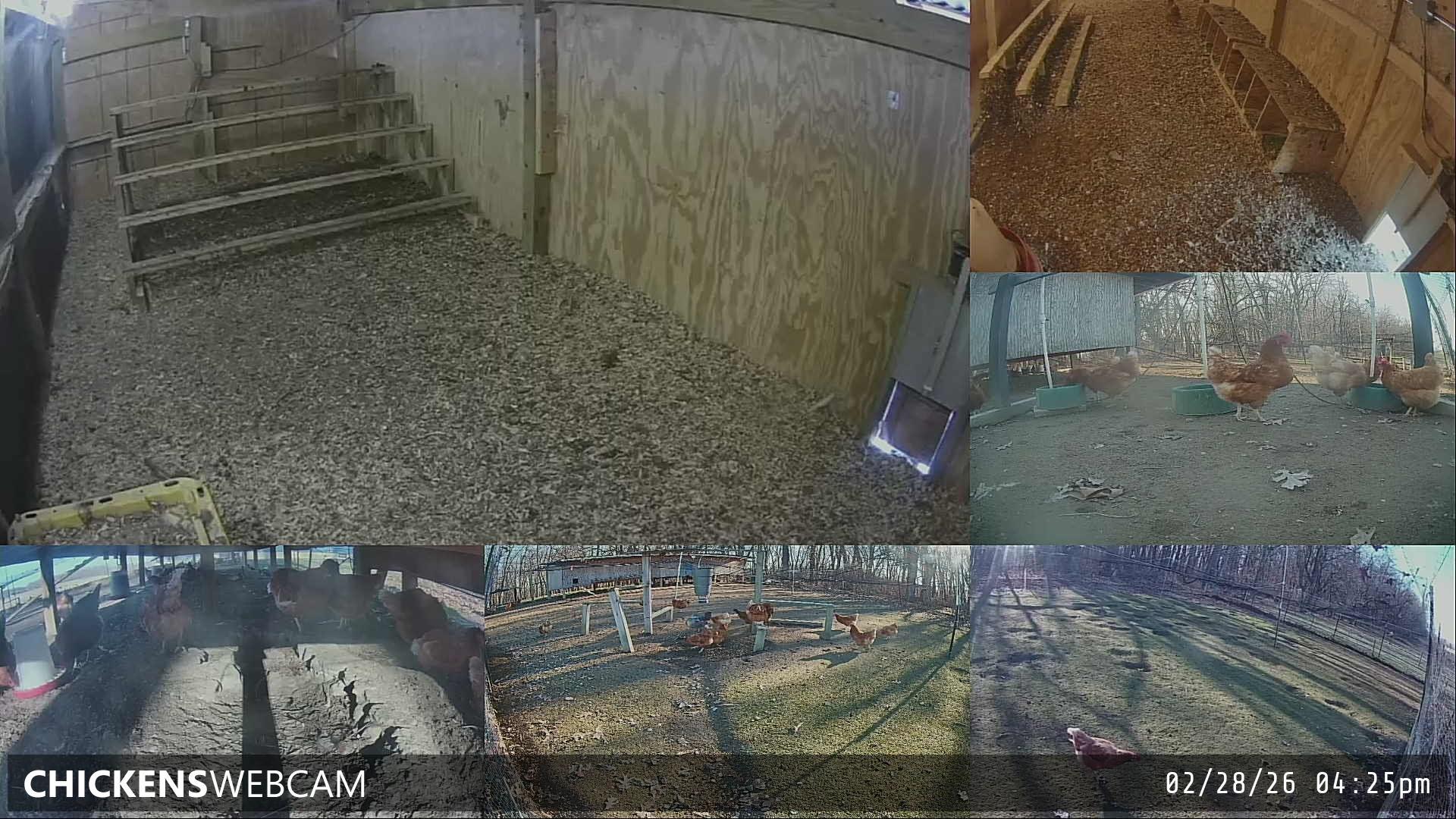 Twitch Stream Preview