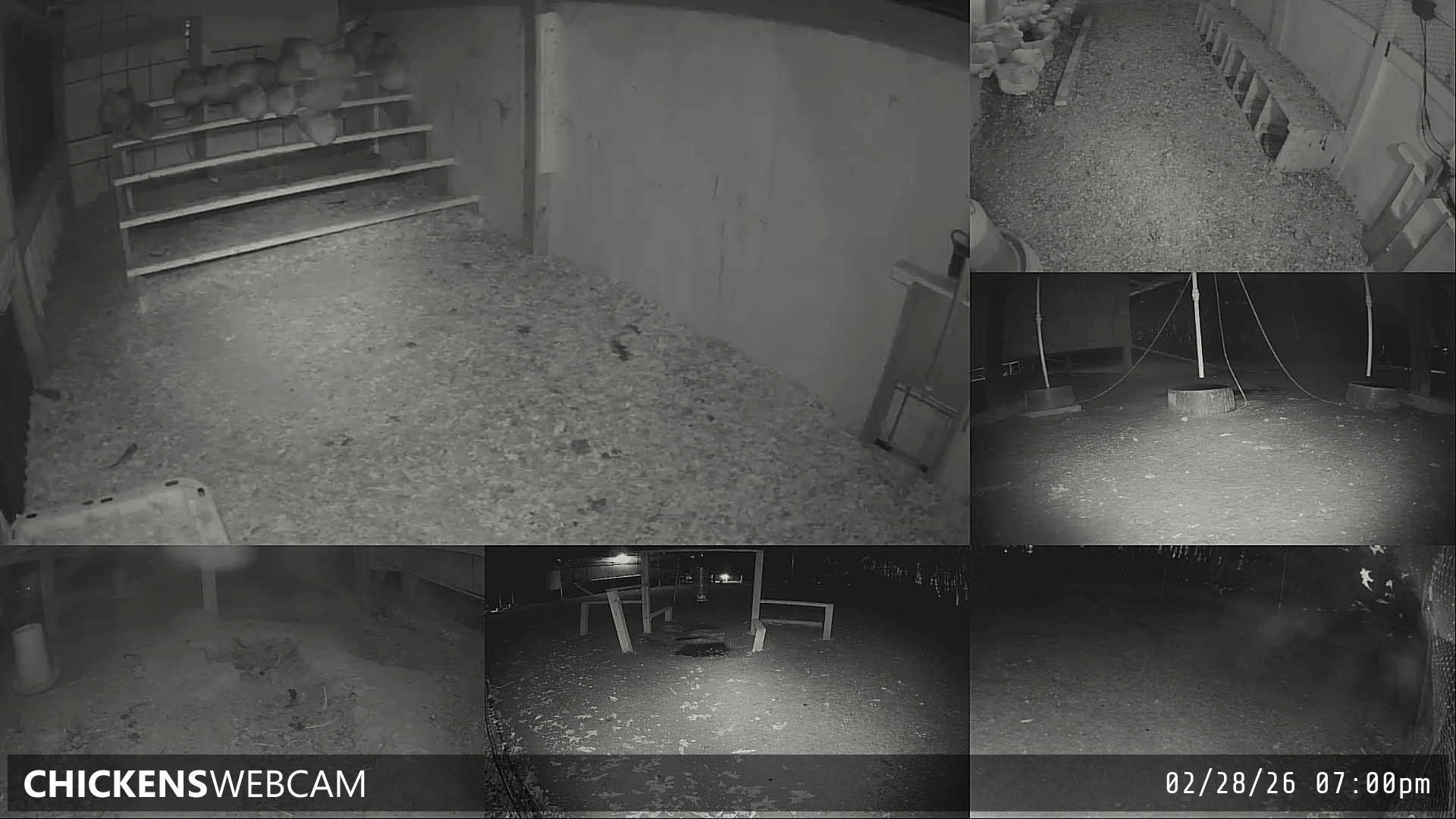 Twitch Stream Preview