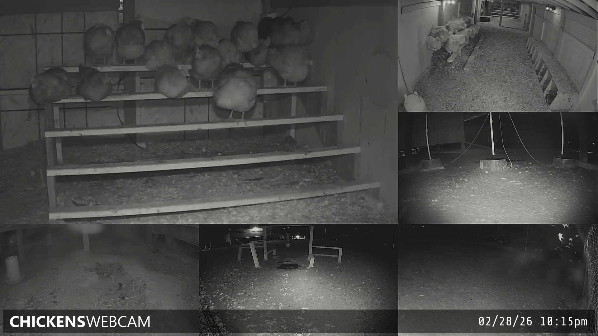 Twitch Stream Preview