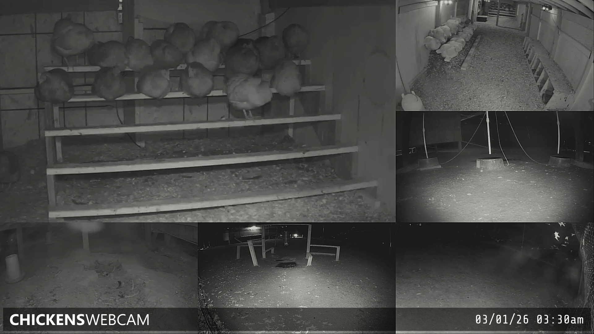 Twitch Stream Preview