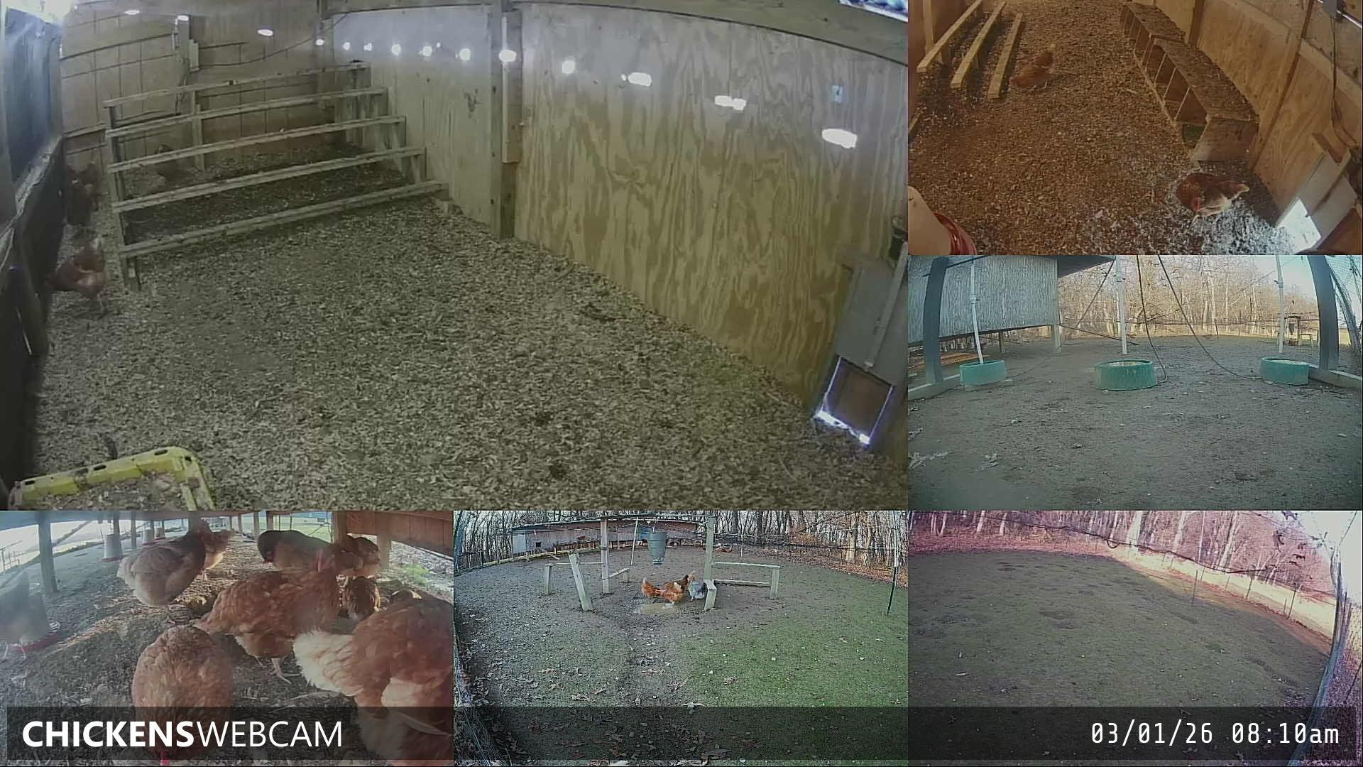 Twitch Stream Preview