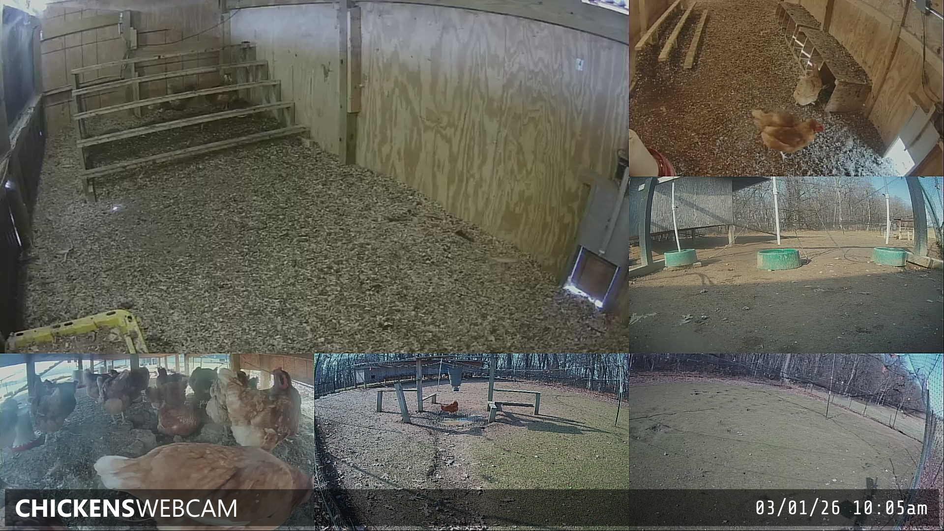 Twitch Stream Preview