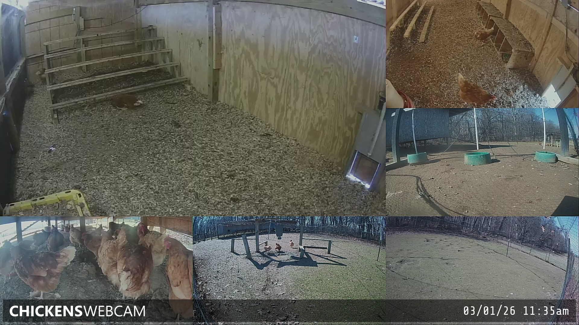 Twitch Stream Preview