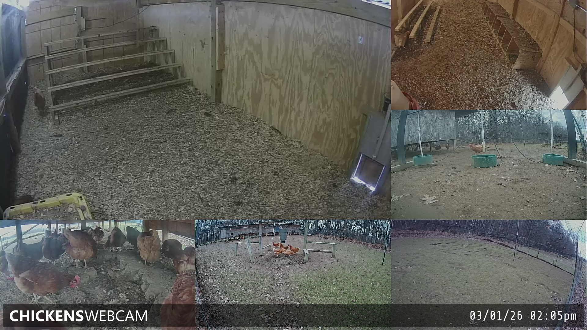 Twitch Stream Preview