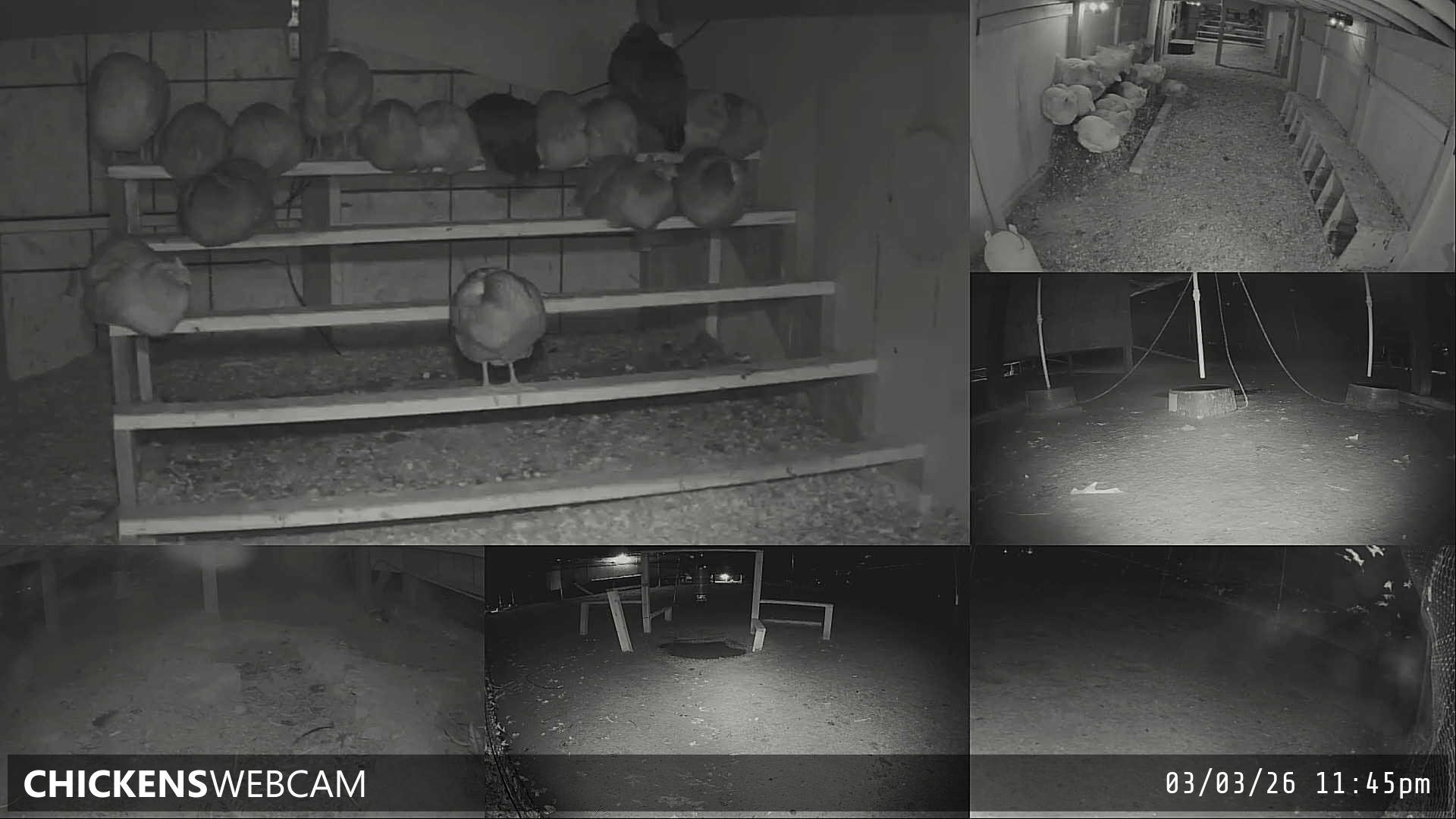 Twitch Stream Preview