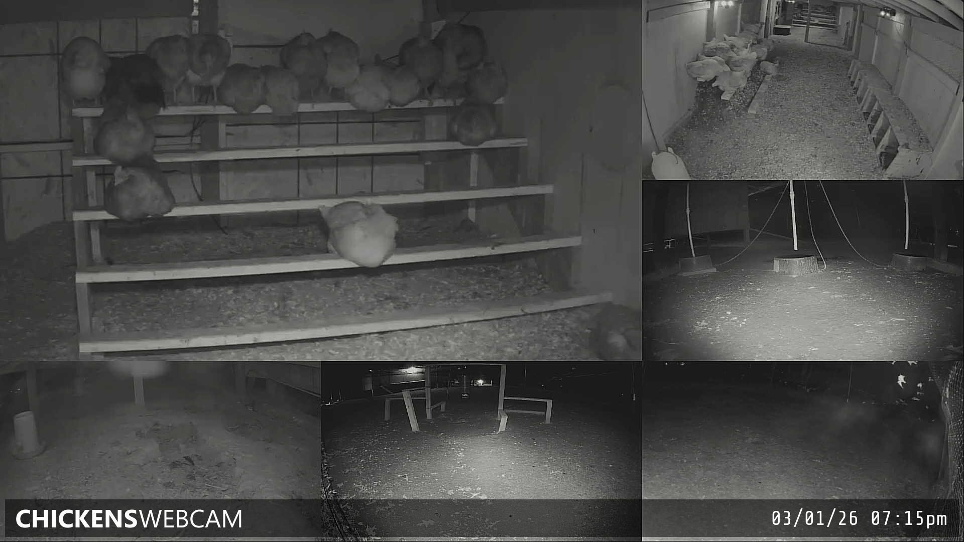 Twitch Stream Preview