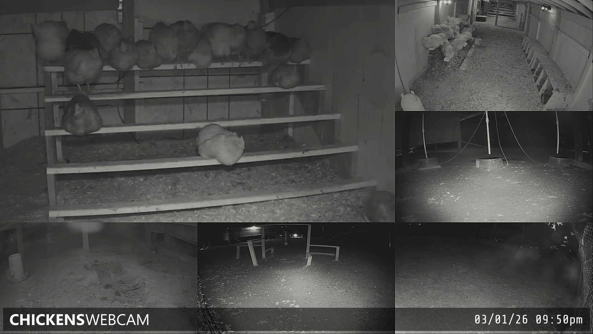 Twitch Stream Preview