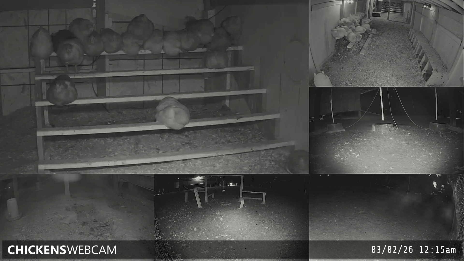 Twitch Stream Preview