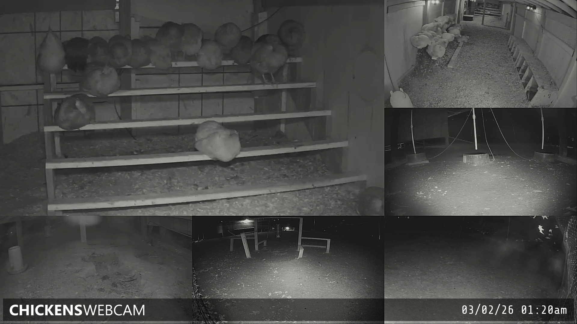 Twitch Stream Preview