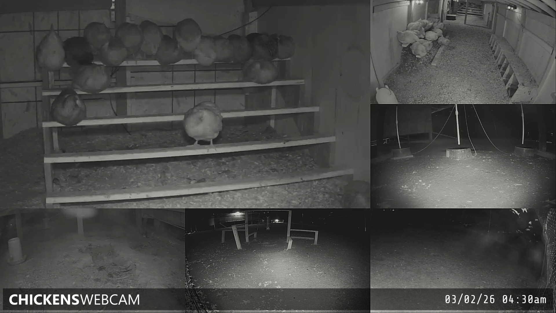 Twitch Stream Preview