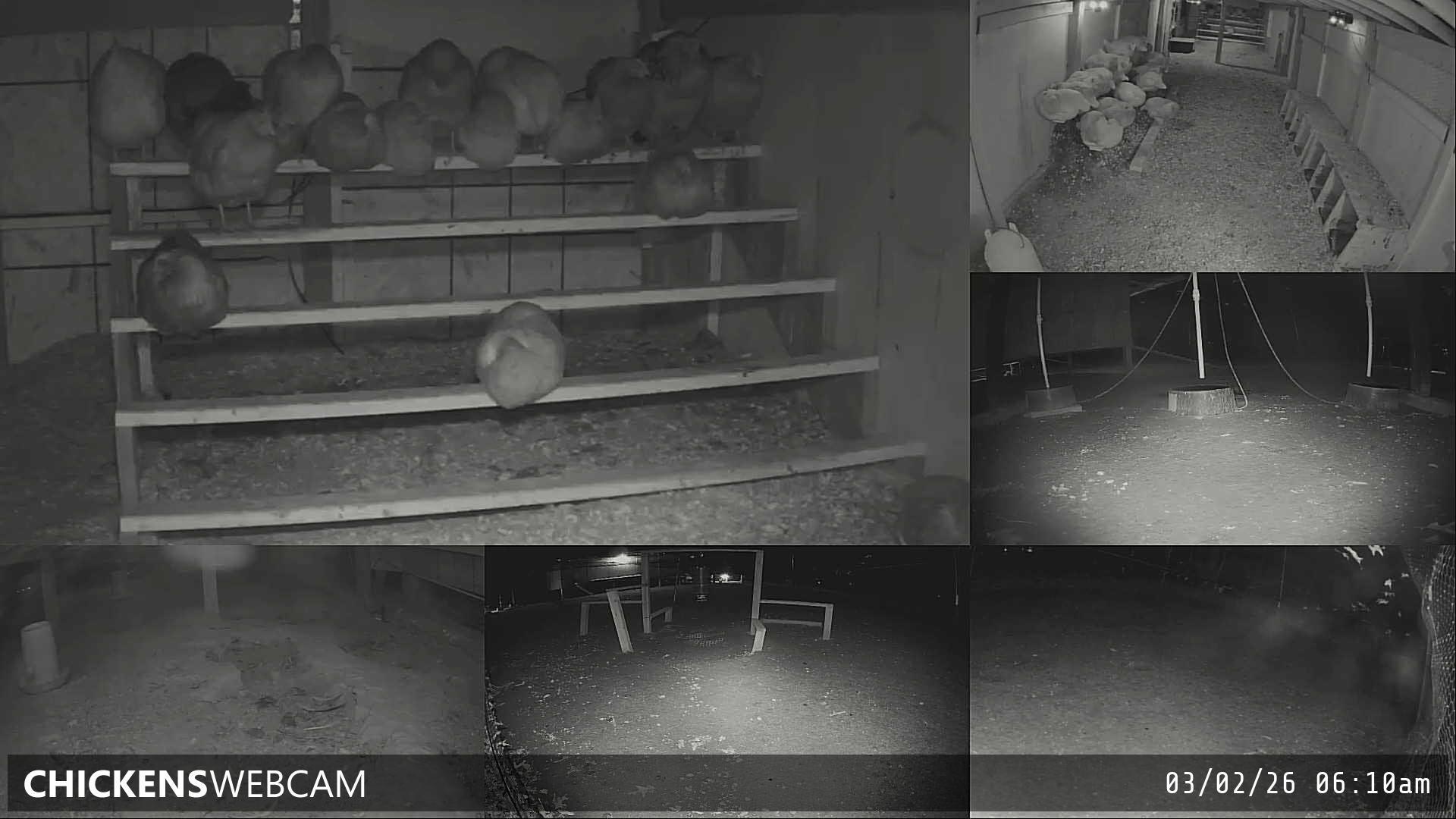 Twitch Stream Preview