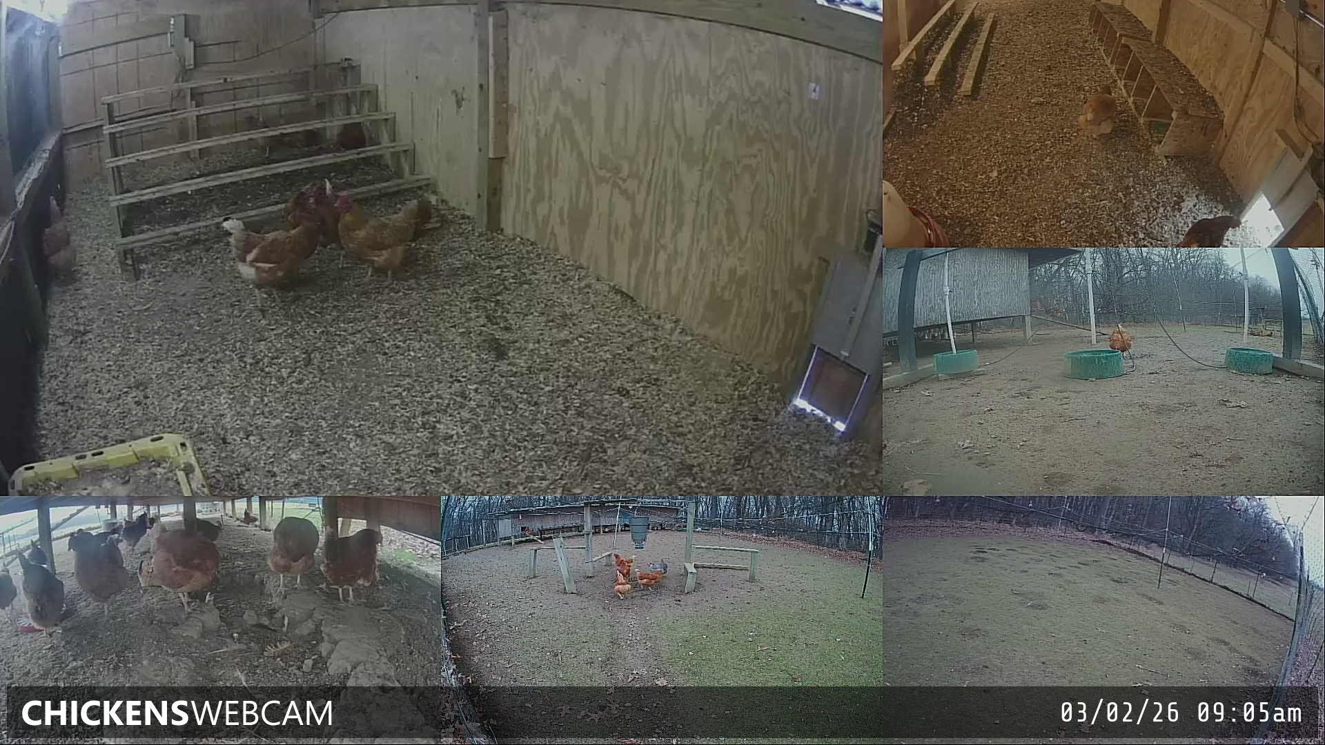 Twitch Stream Preview