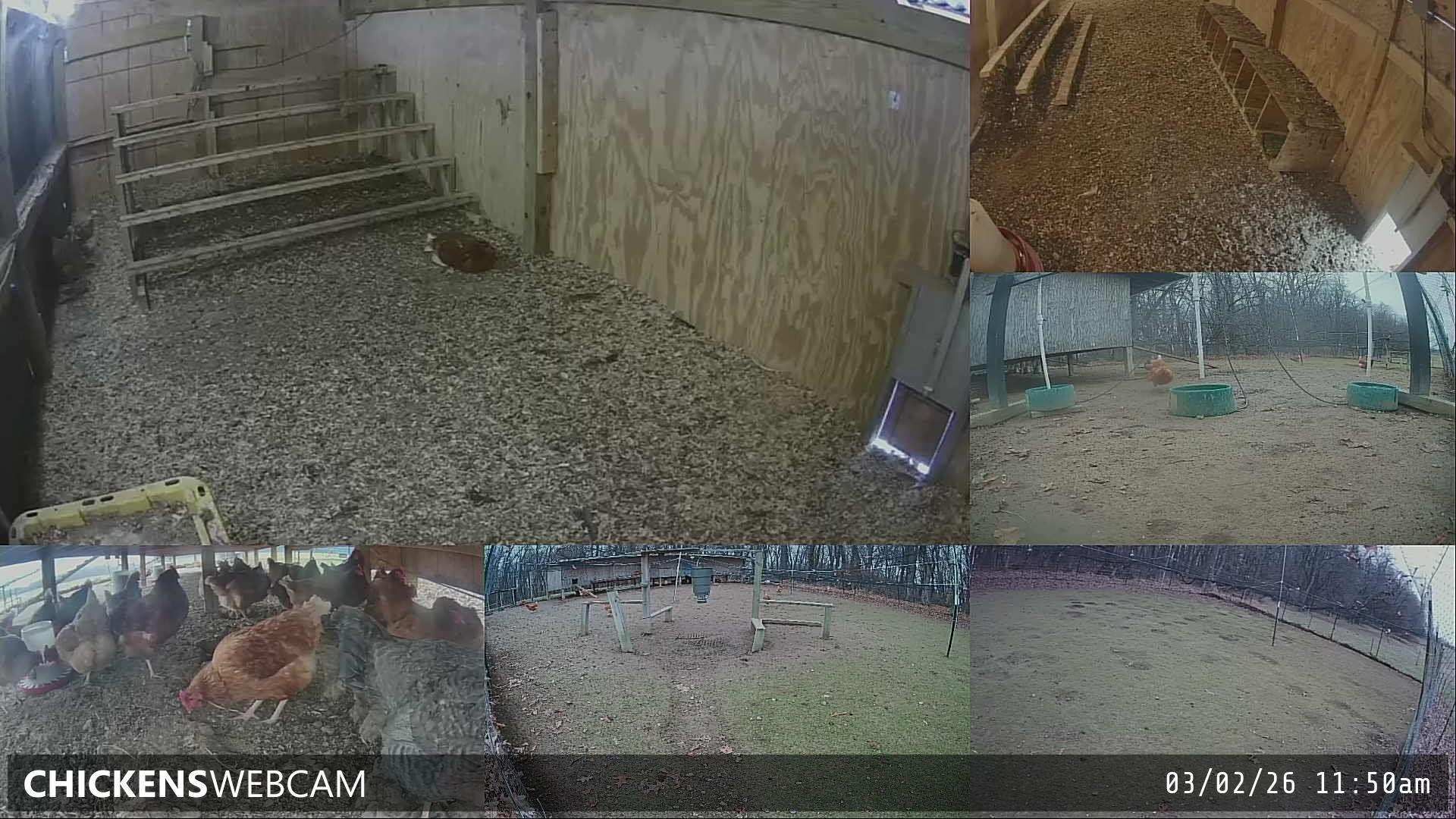 Twitch Stream Preview