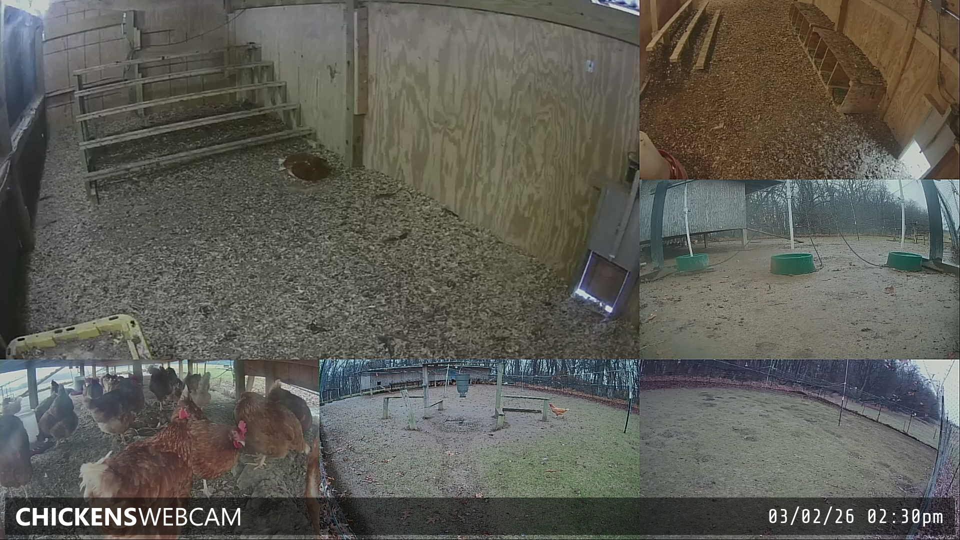 Twitch Stream Preview