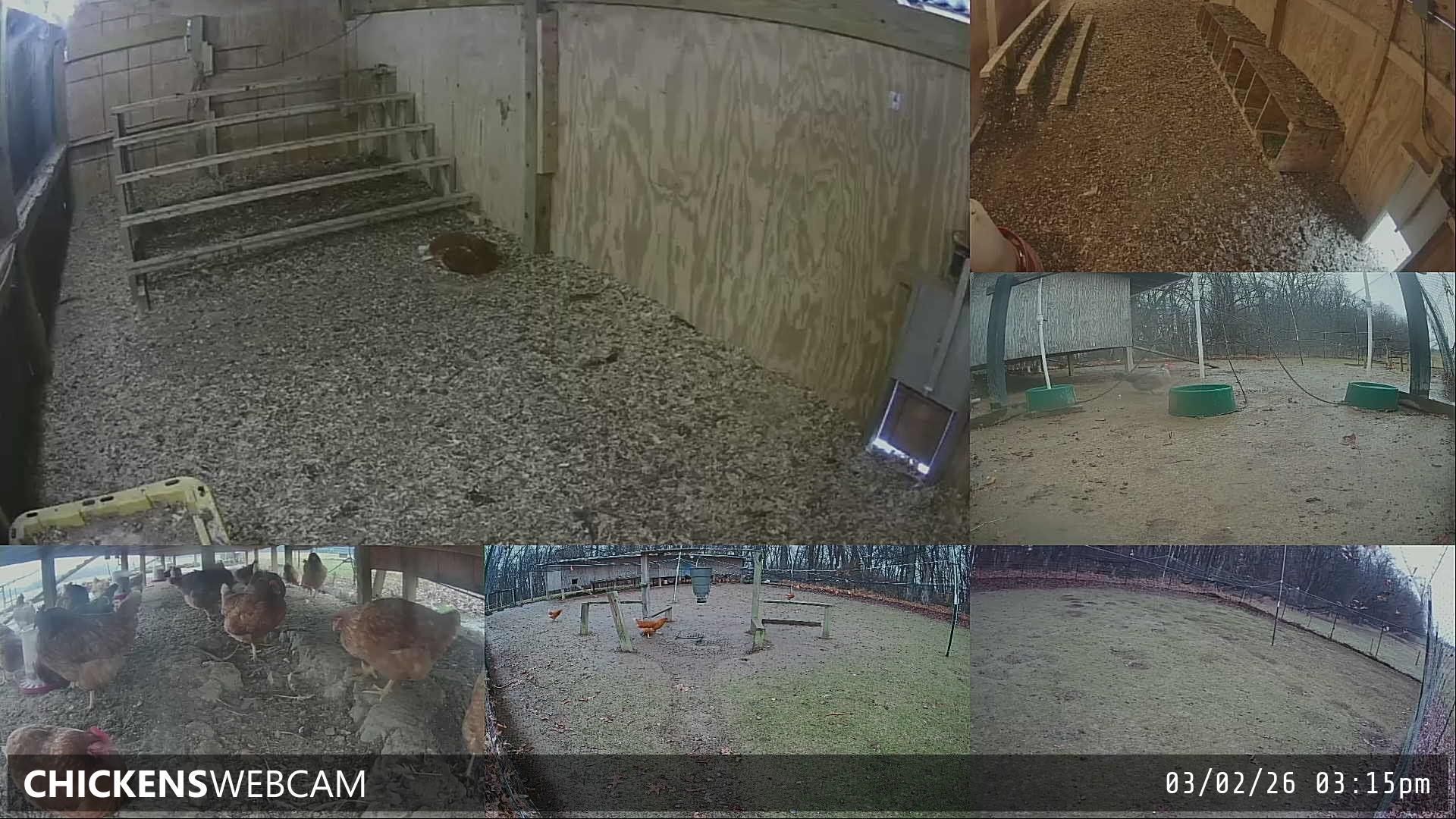 Twitch Stream Preview