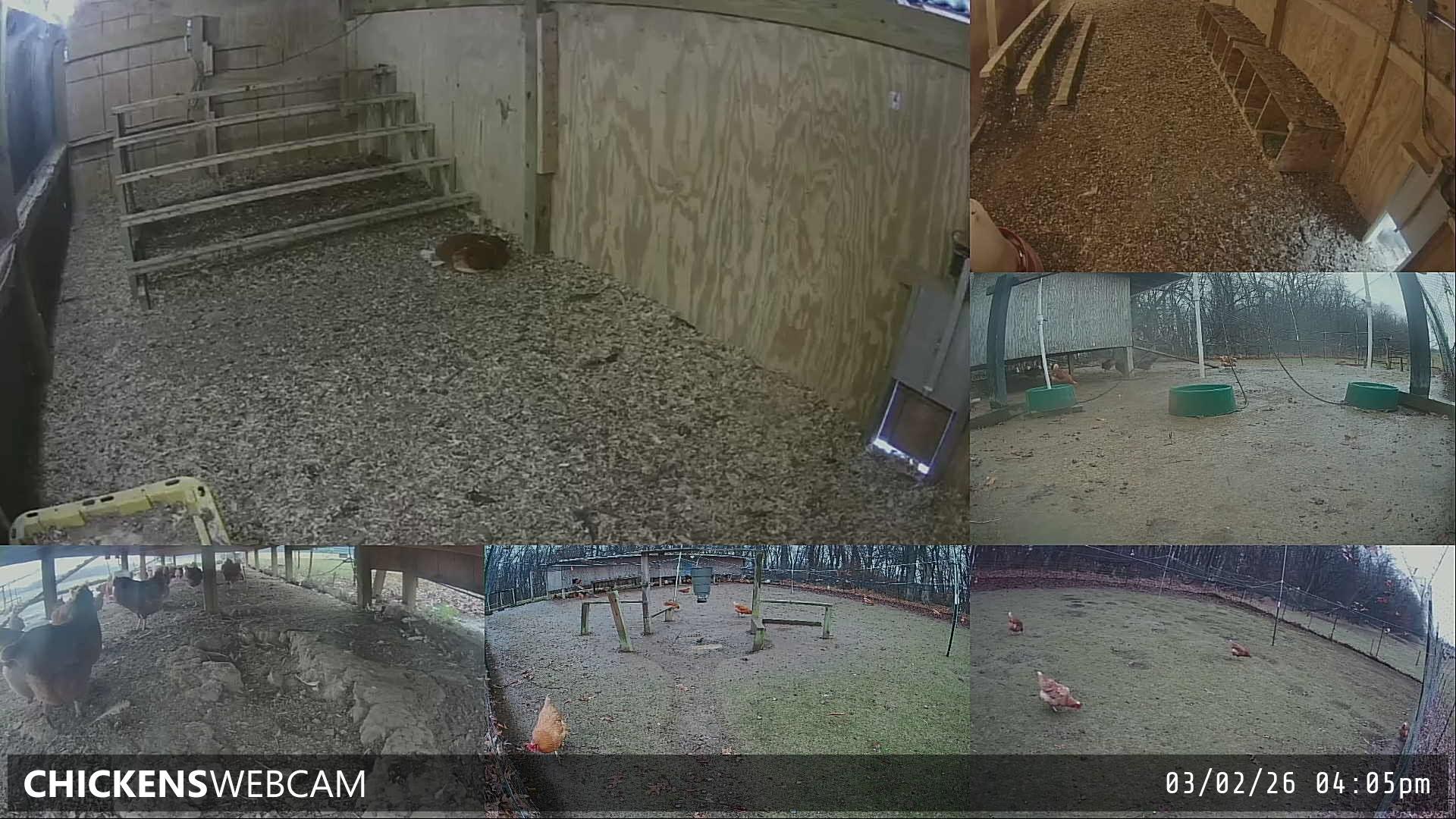 Twitch Stream Preview