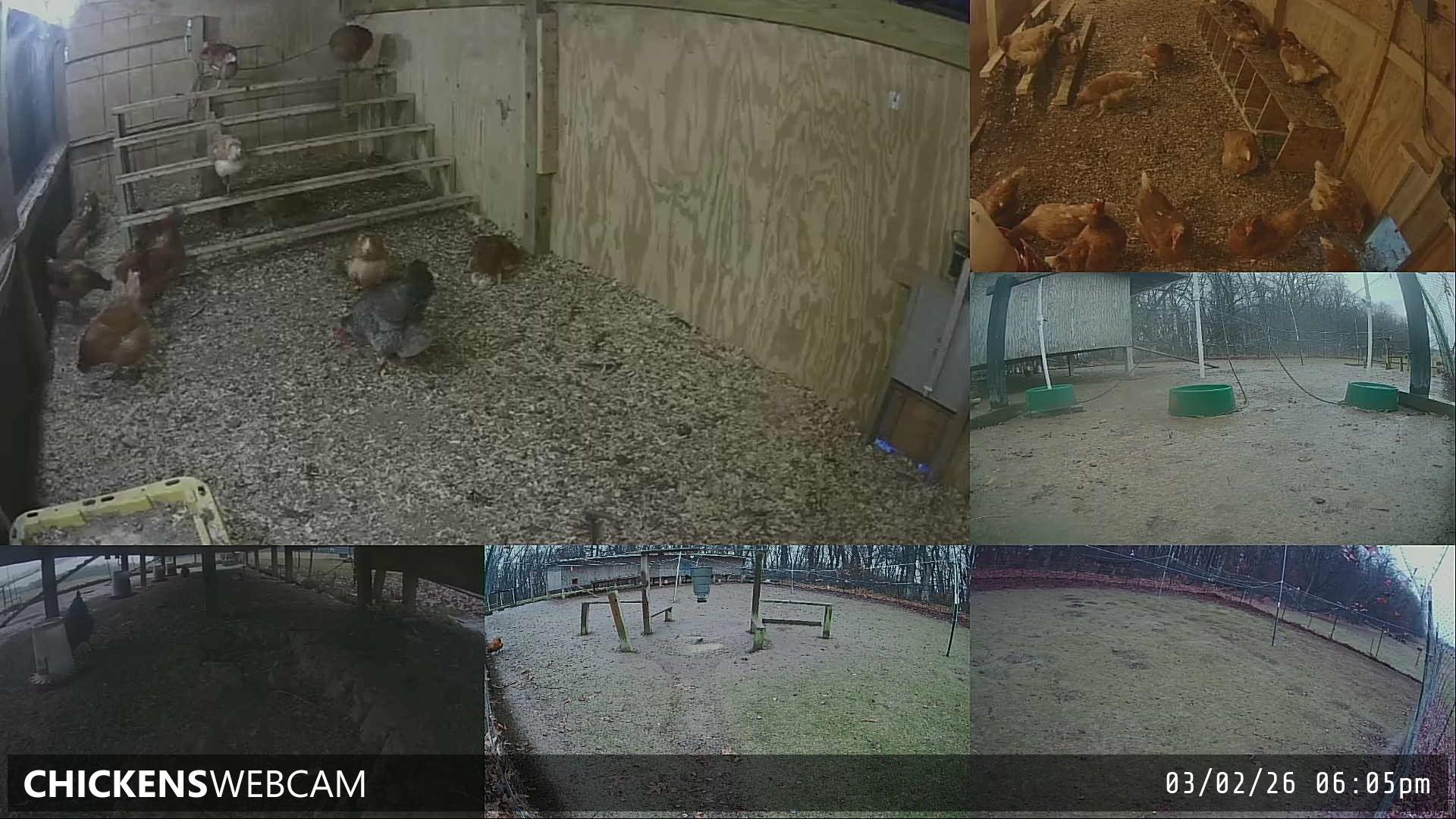 Twitch Stream Preview