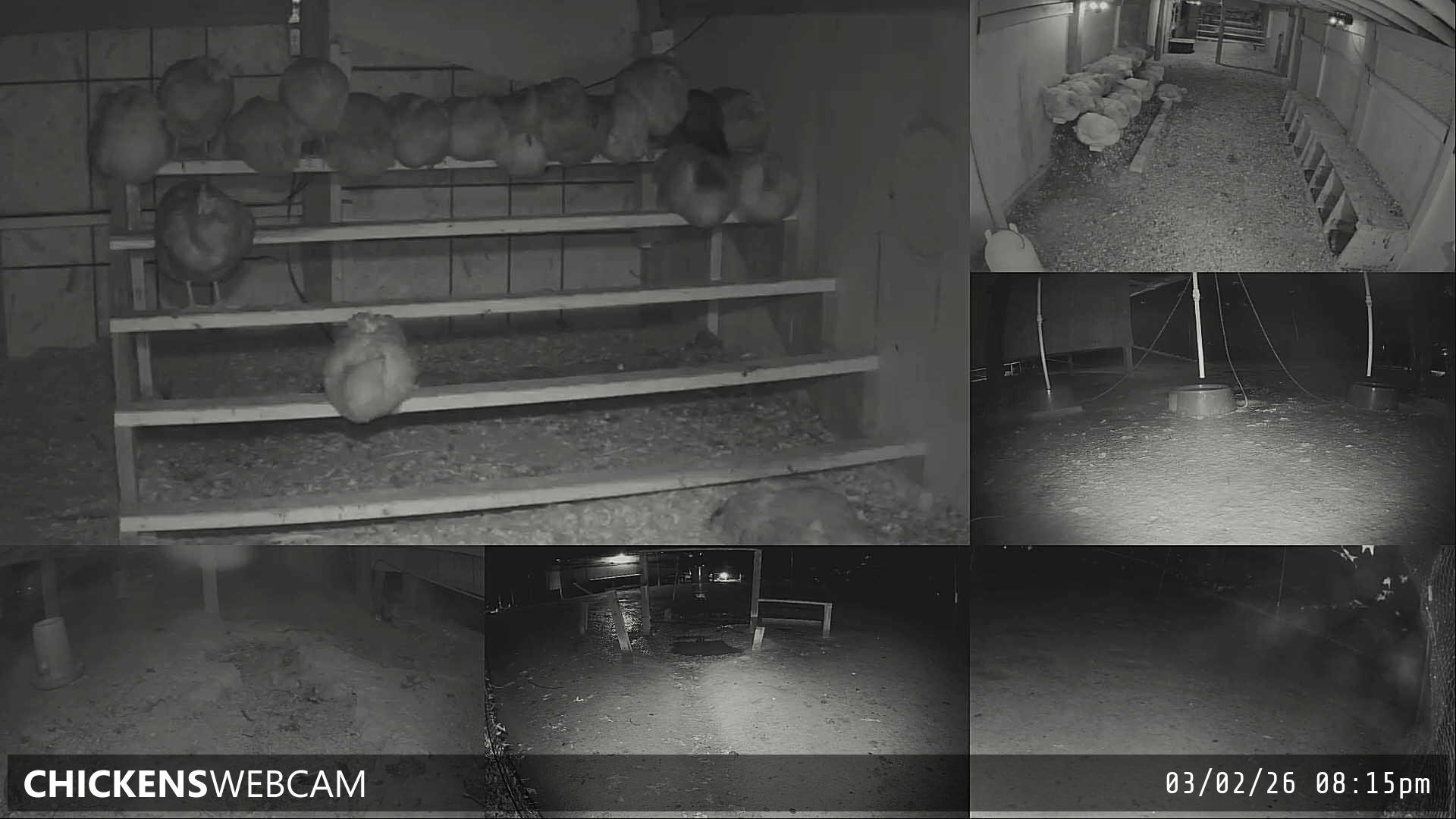 Twitch Stream Preview