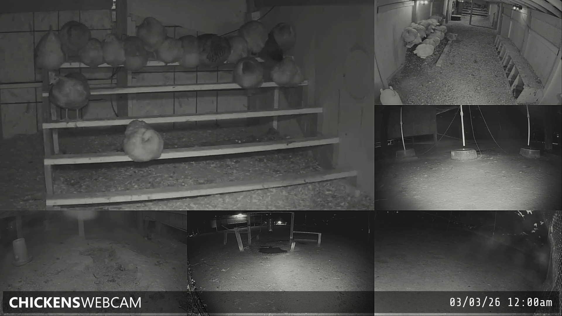 Twitch Stream Preview