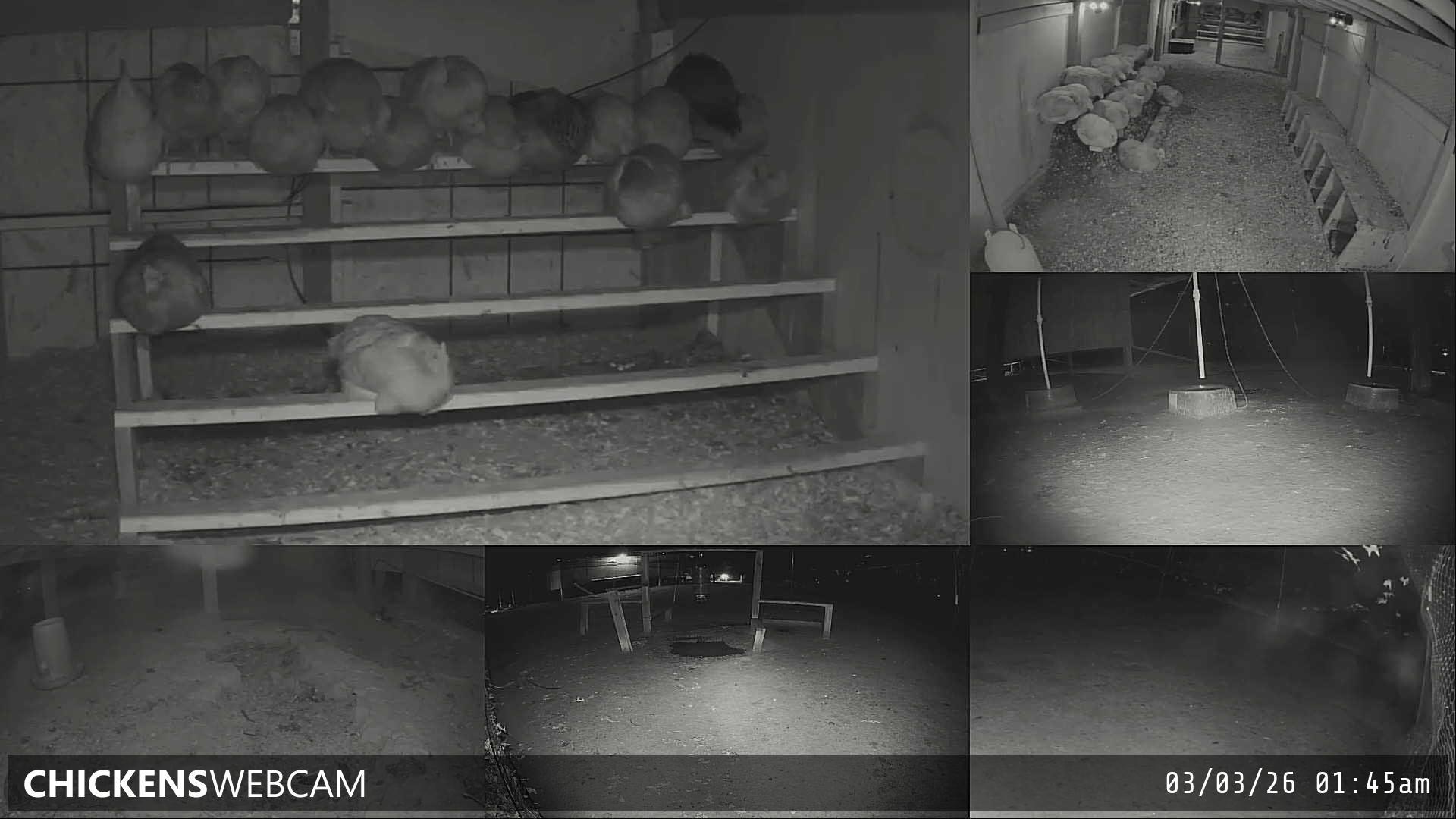 Twitch Stream Preview