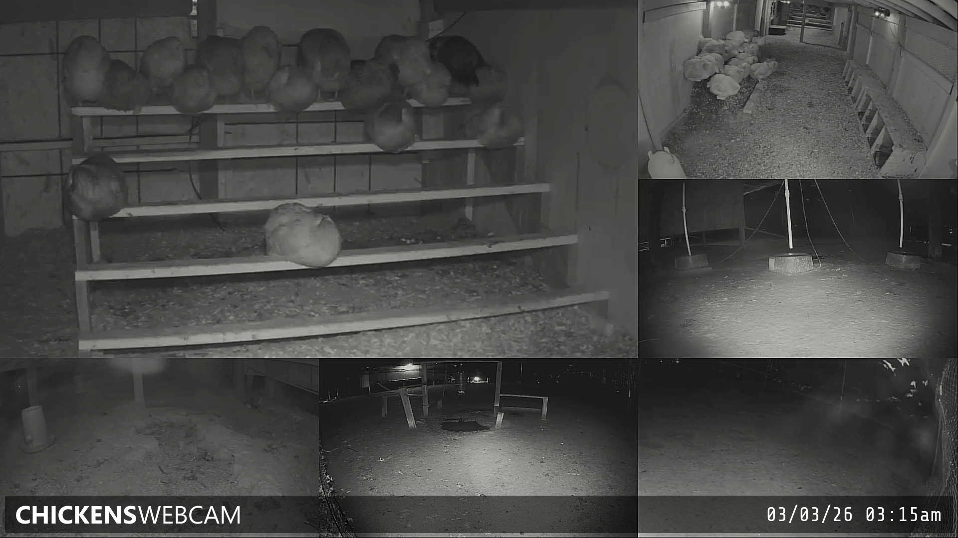 Twitch Stream Preview