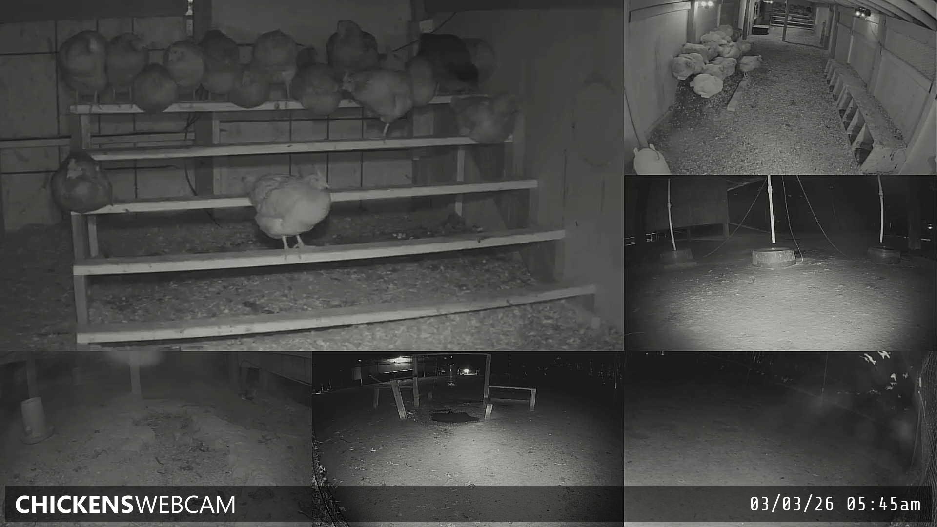 Twitch Stream Preview