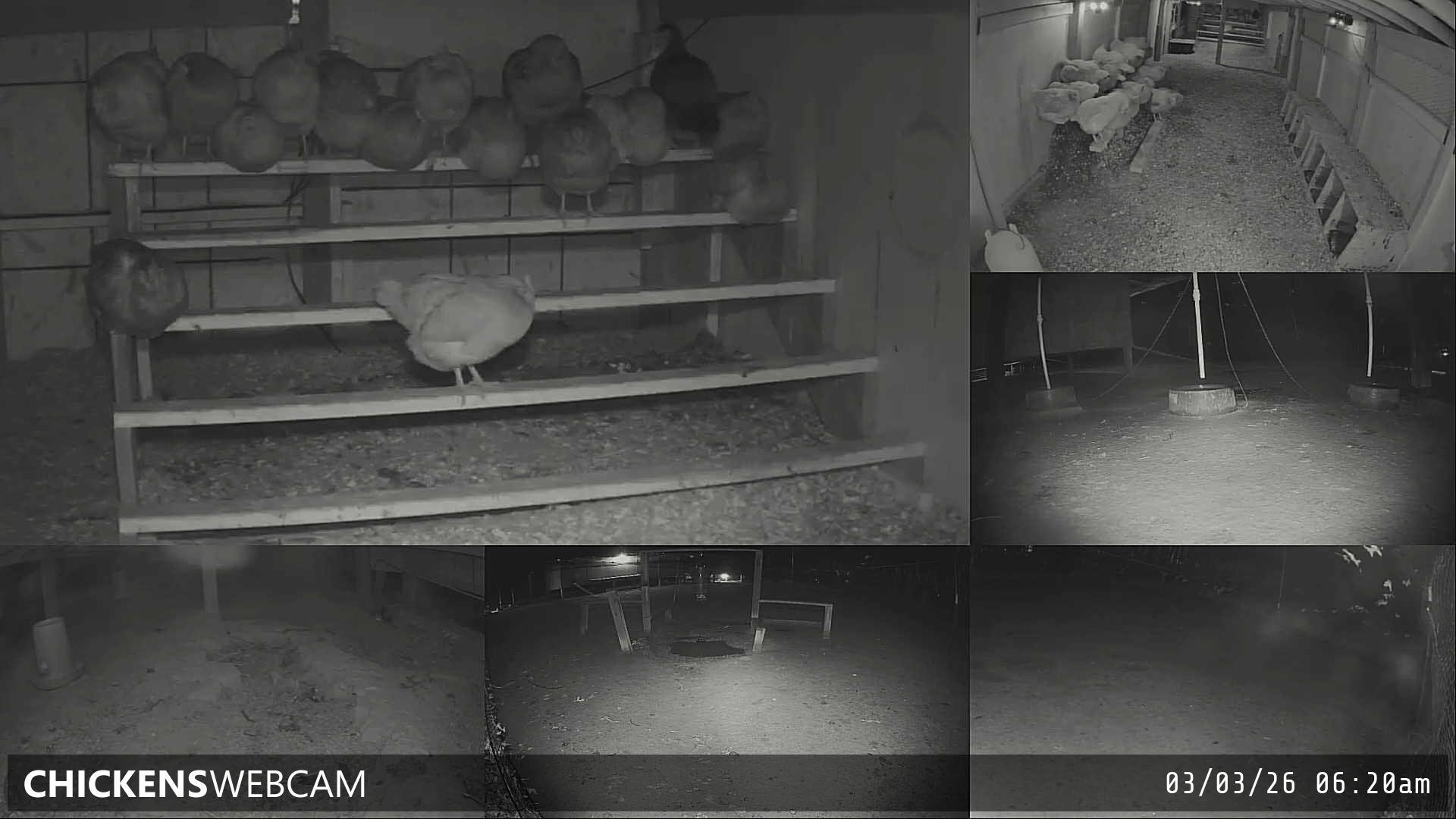 Twitch Stream Preview