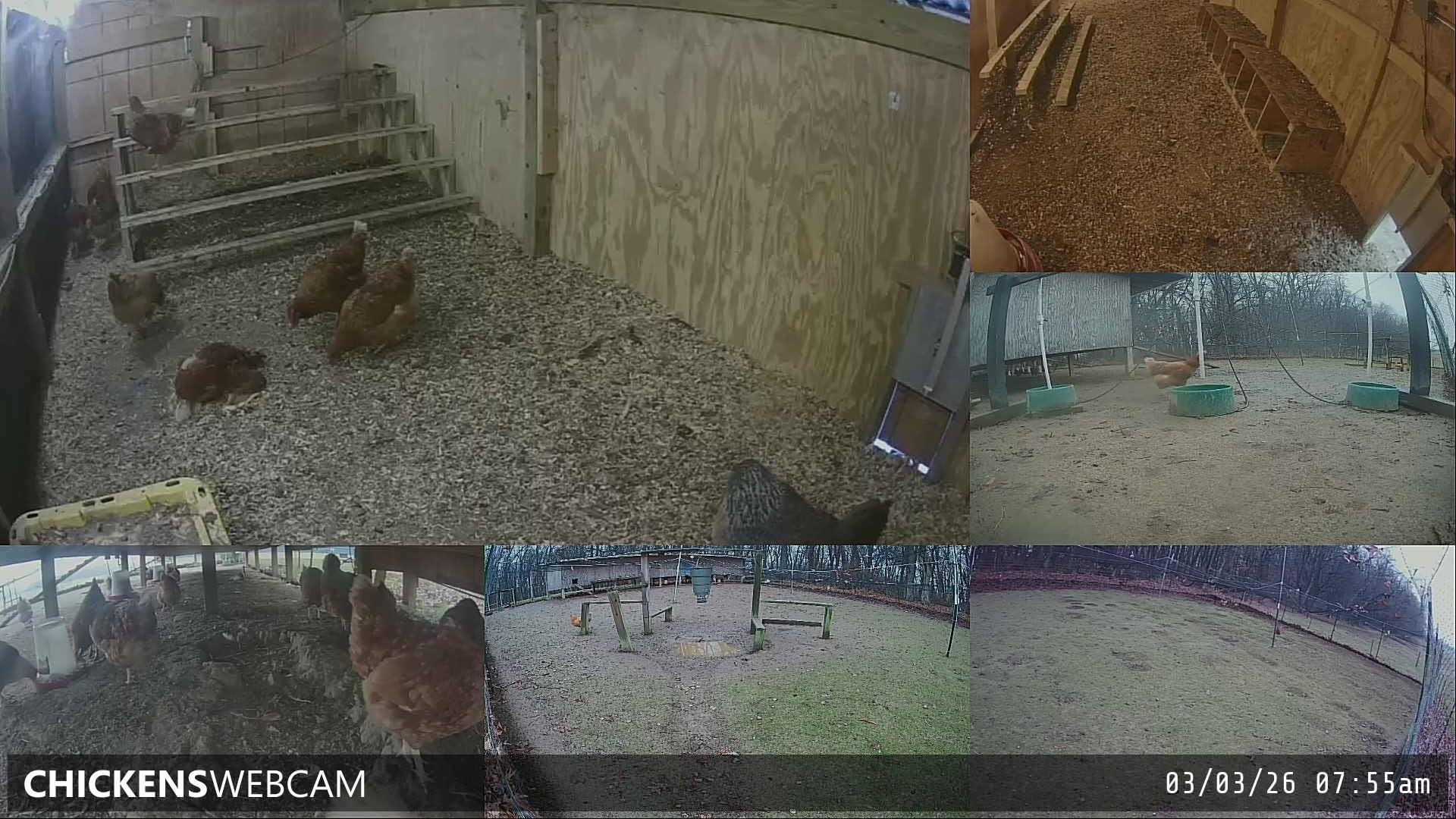 Twitch Stream Preview