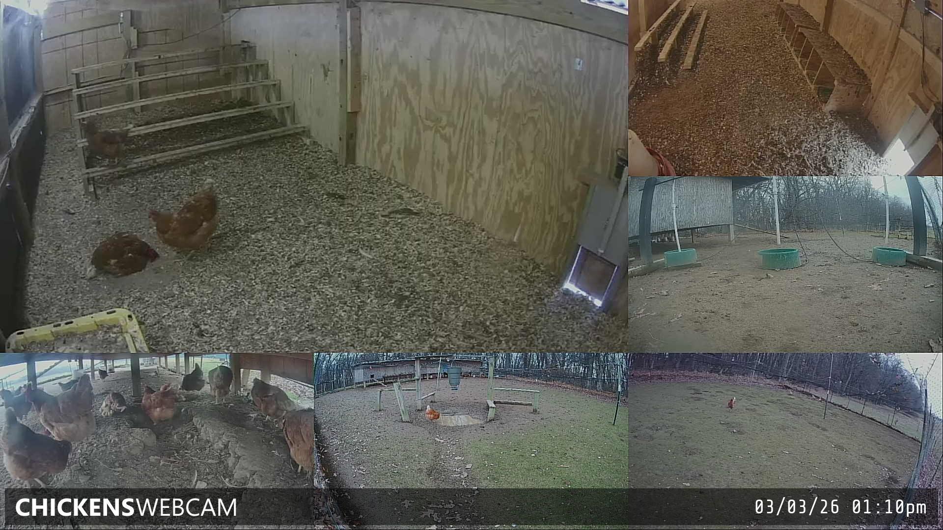 Twitch Stream Preview