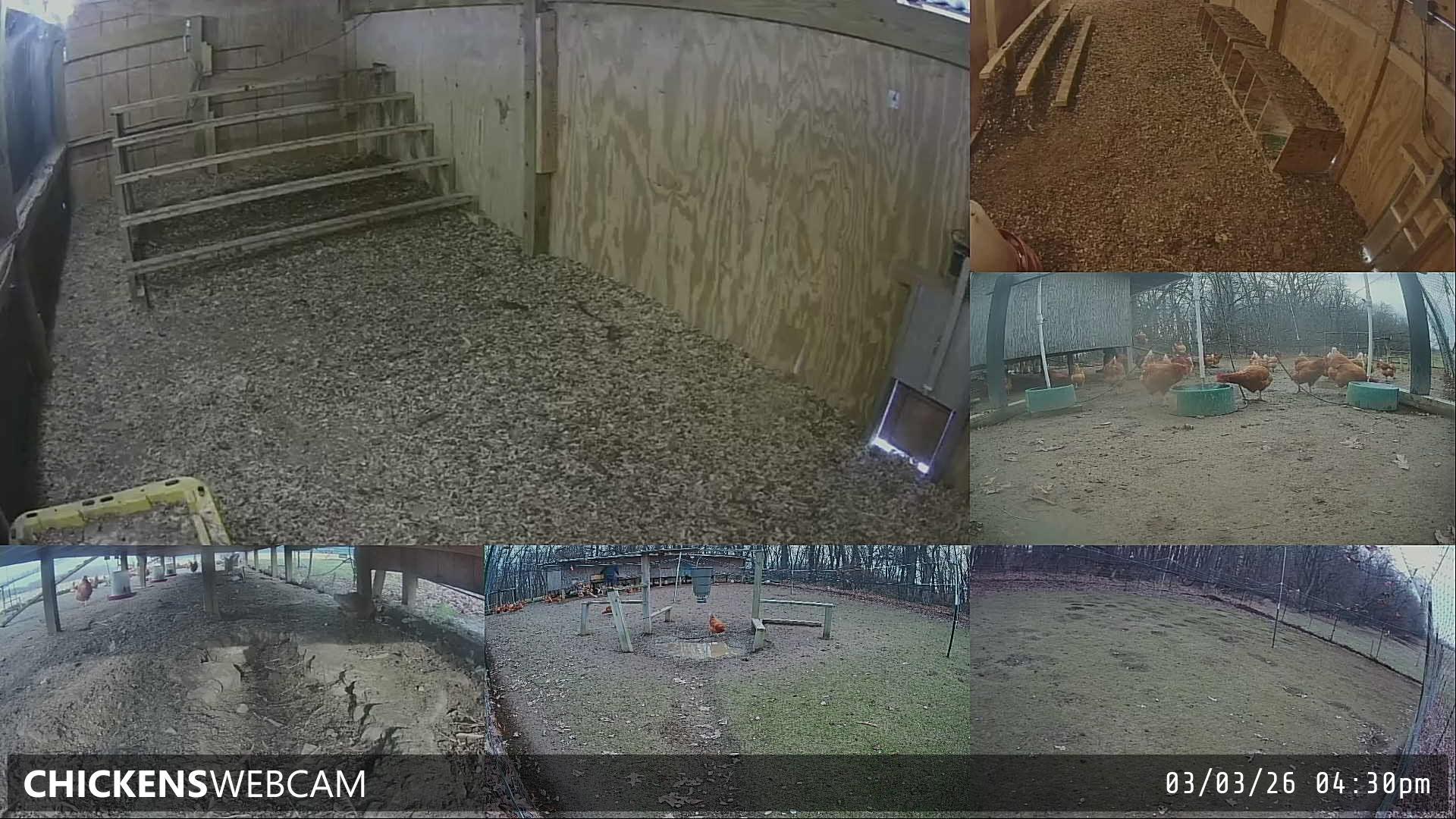 Twitch Stream Preview