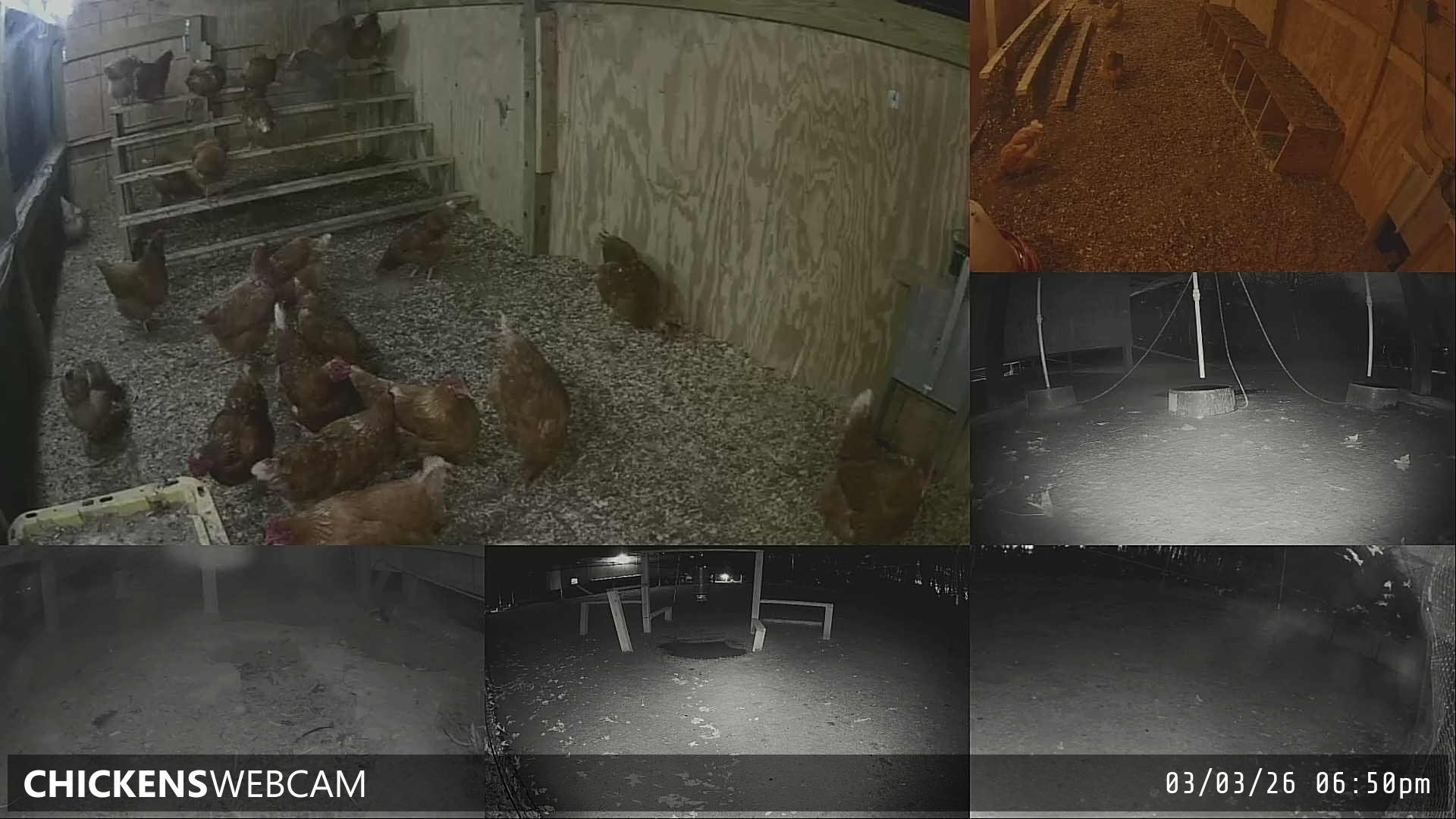 Twitch Stream Preview