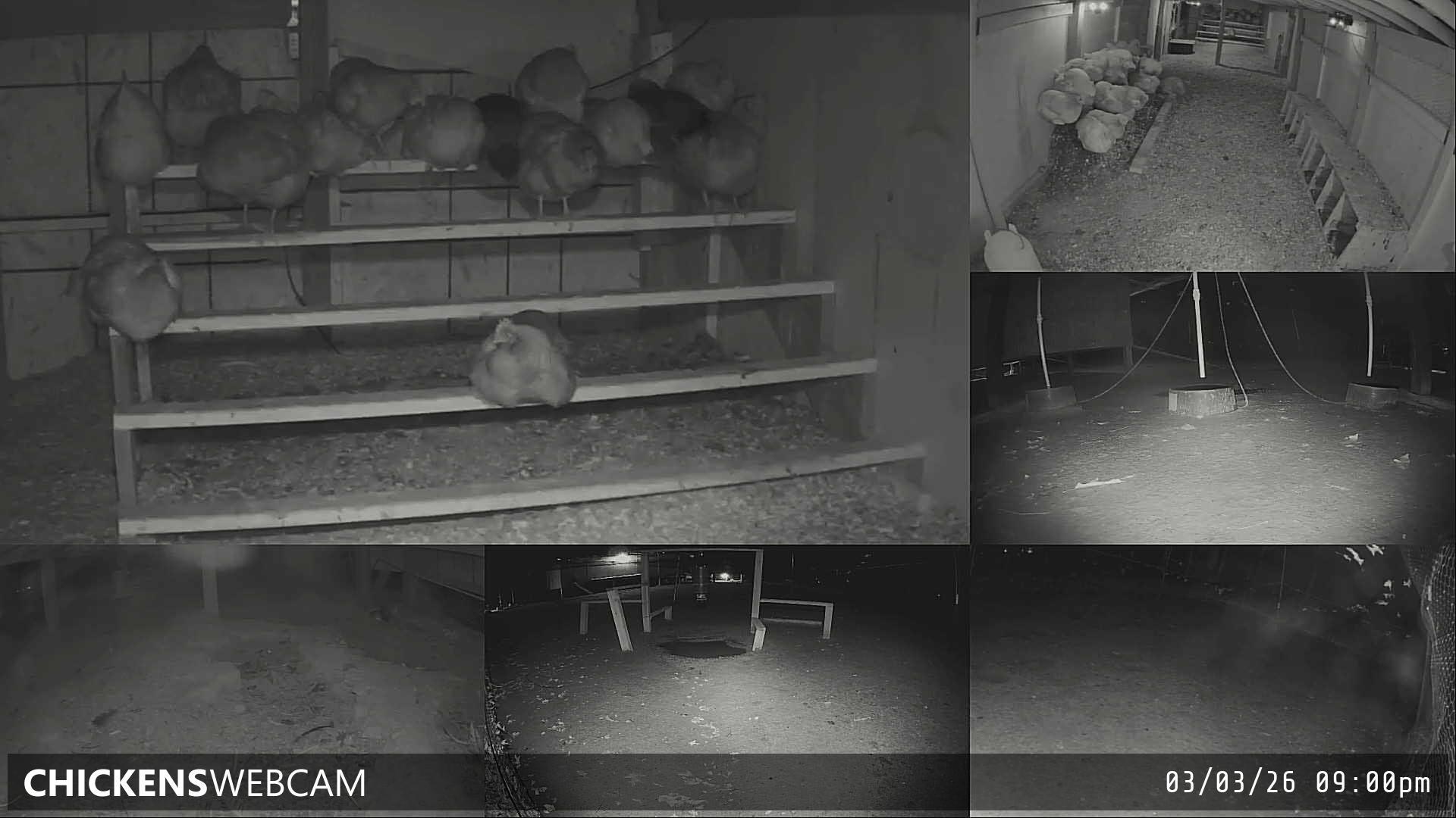 Twitch Stream Preview