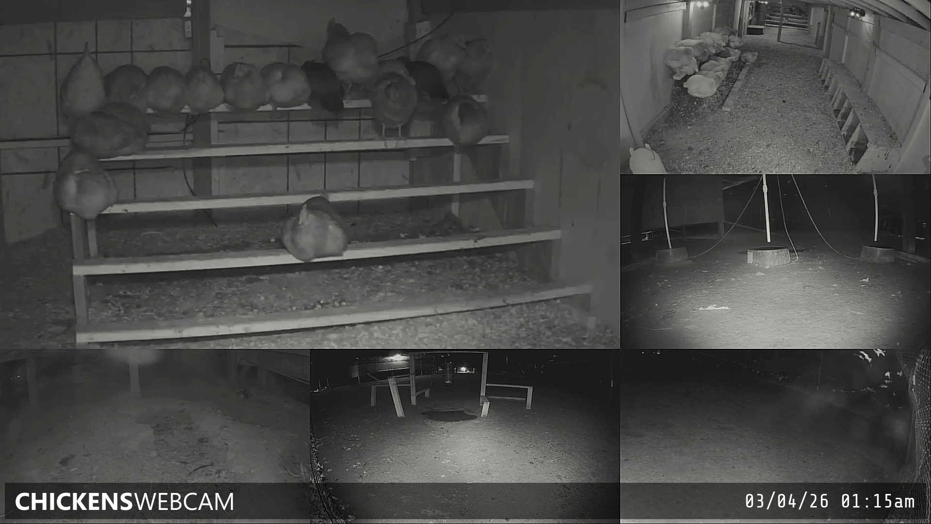 Twitch Stream Preview