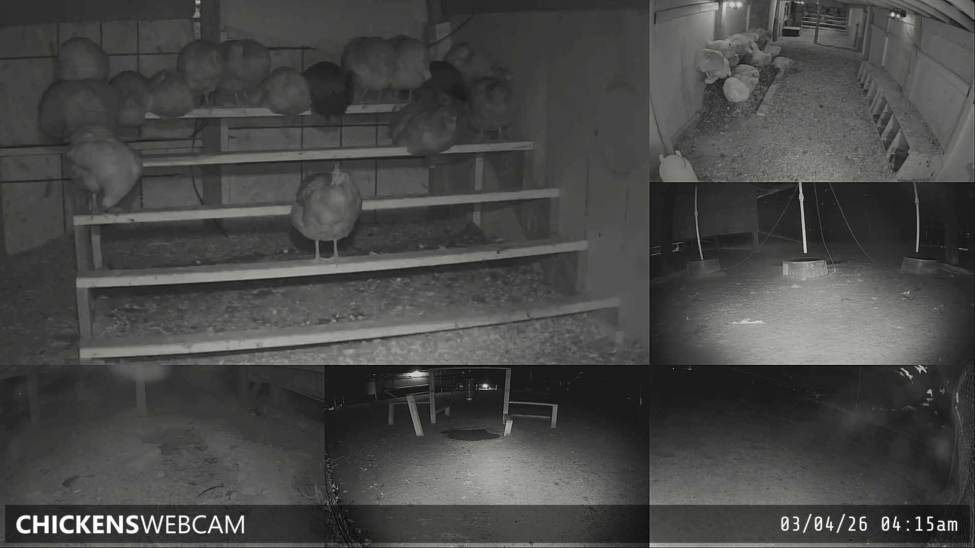 Twitch Stream Preview