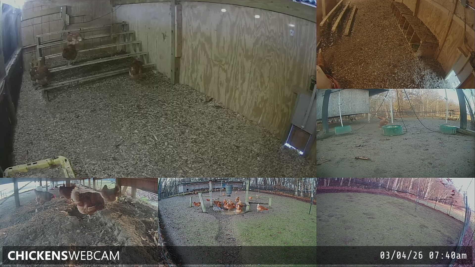 Twitch Stream Preview