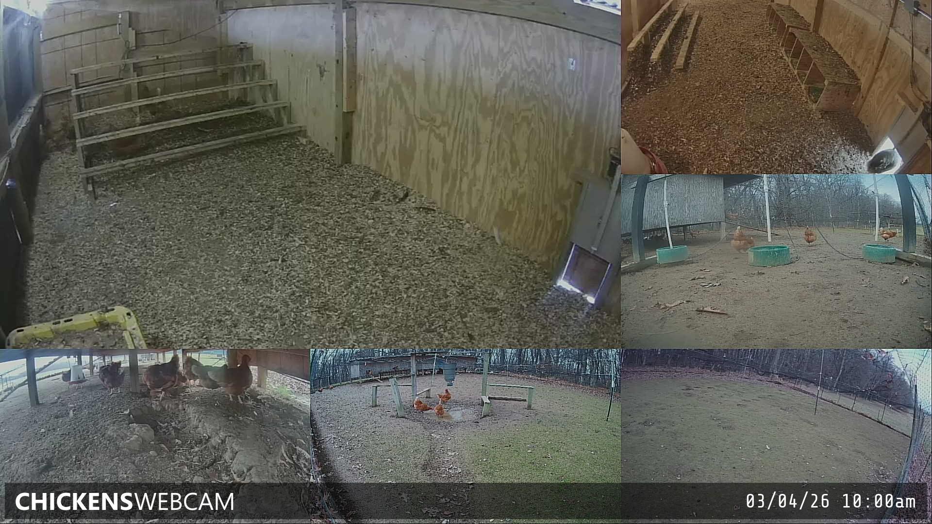 Twitch Stream Preview