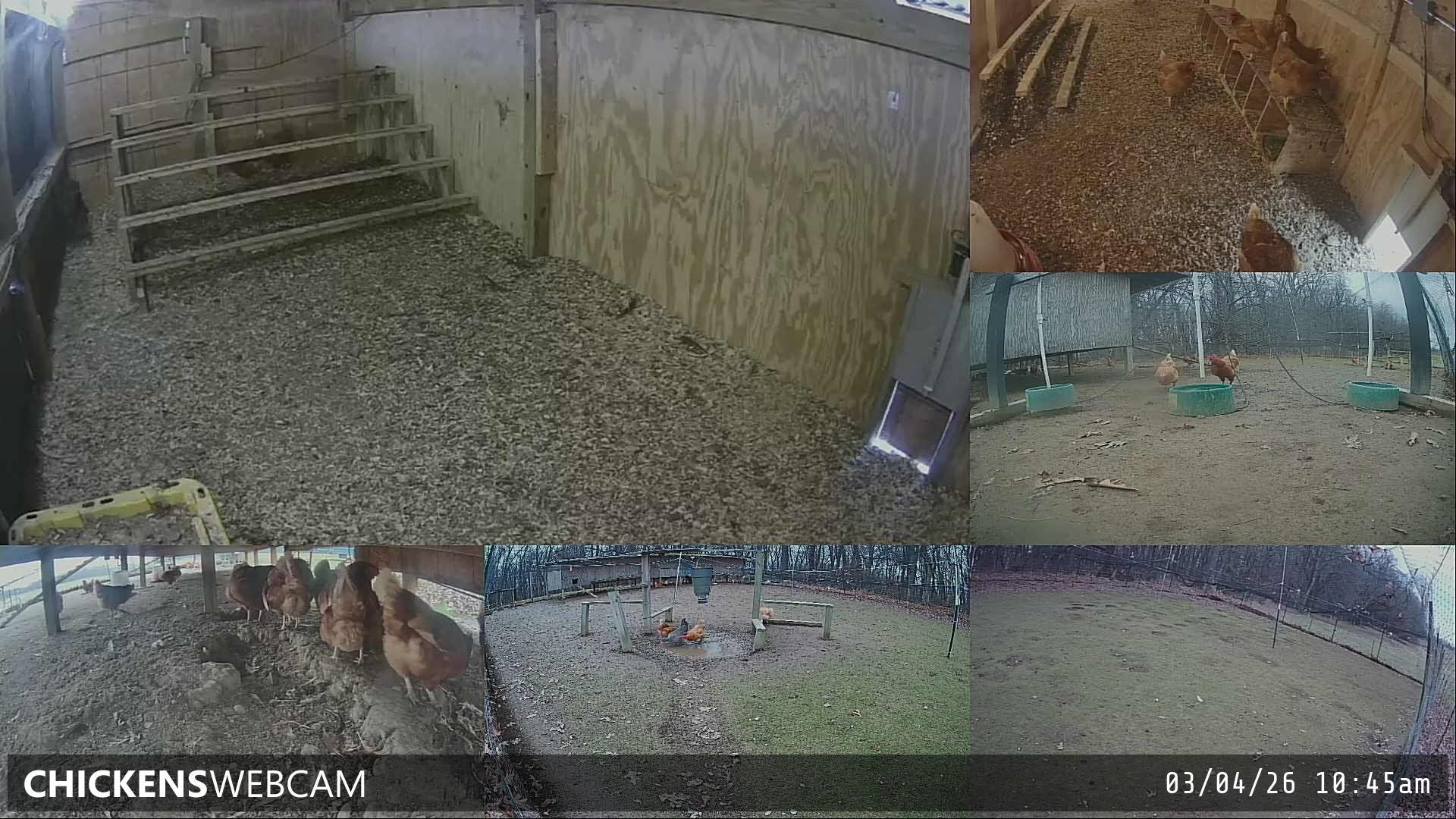 Twitch Stream Preview